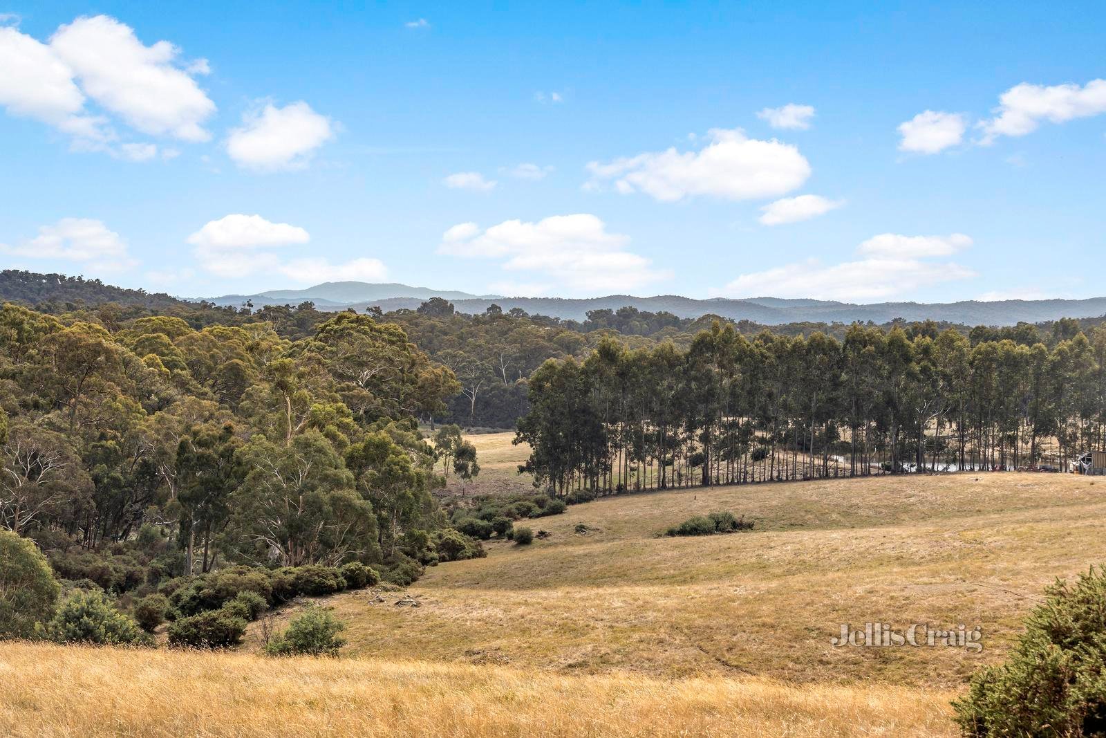 825 Green Gully Road, Glenlyon image 6