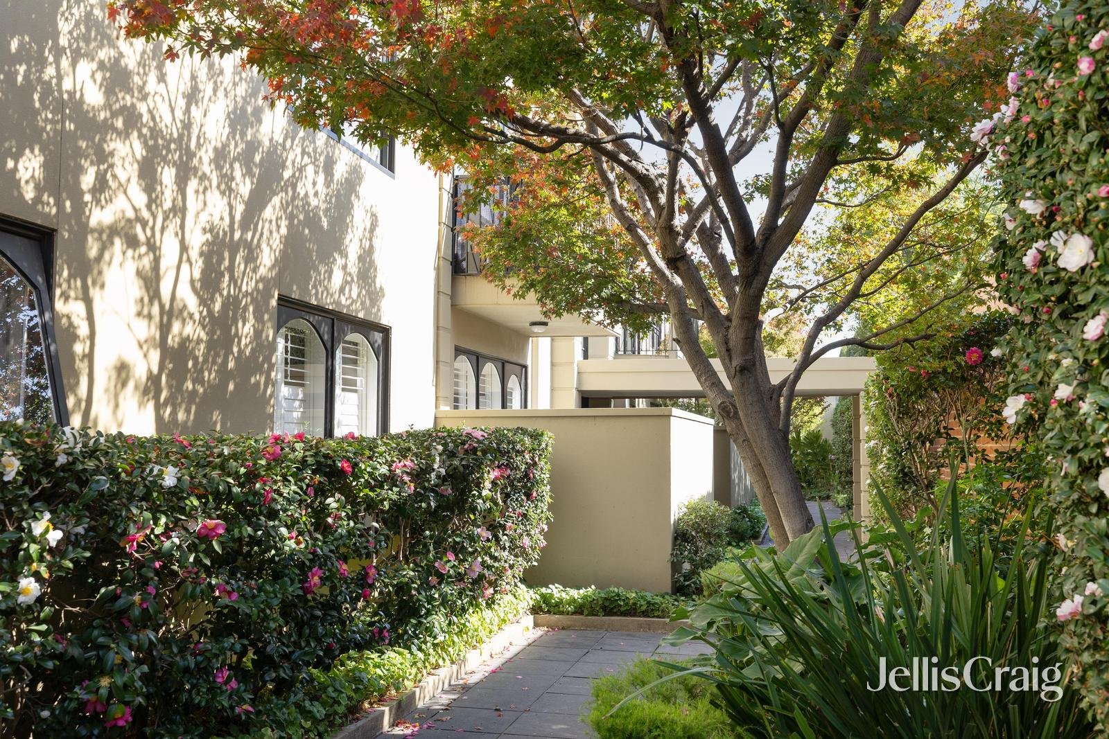 8/3 Irving Street, Malvern image 1