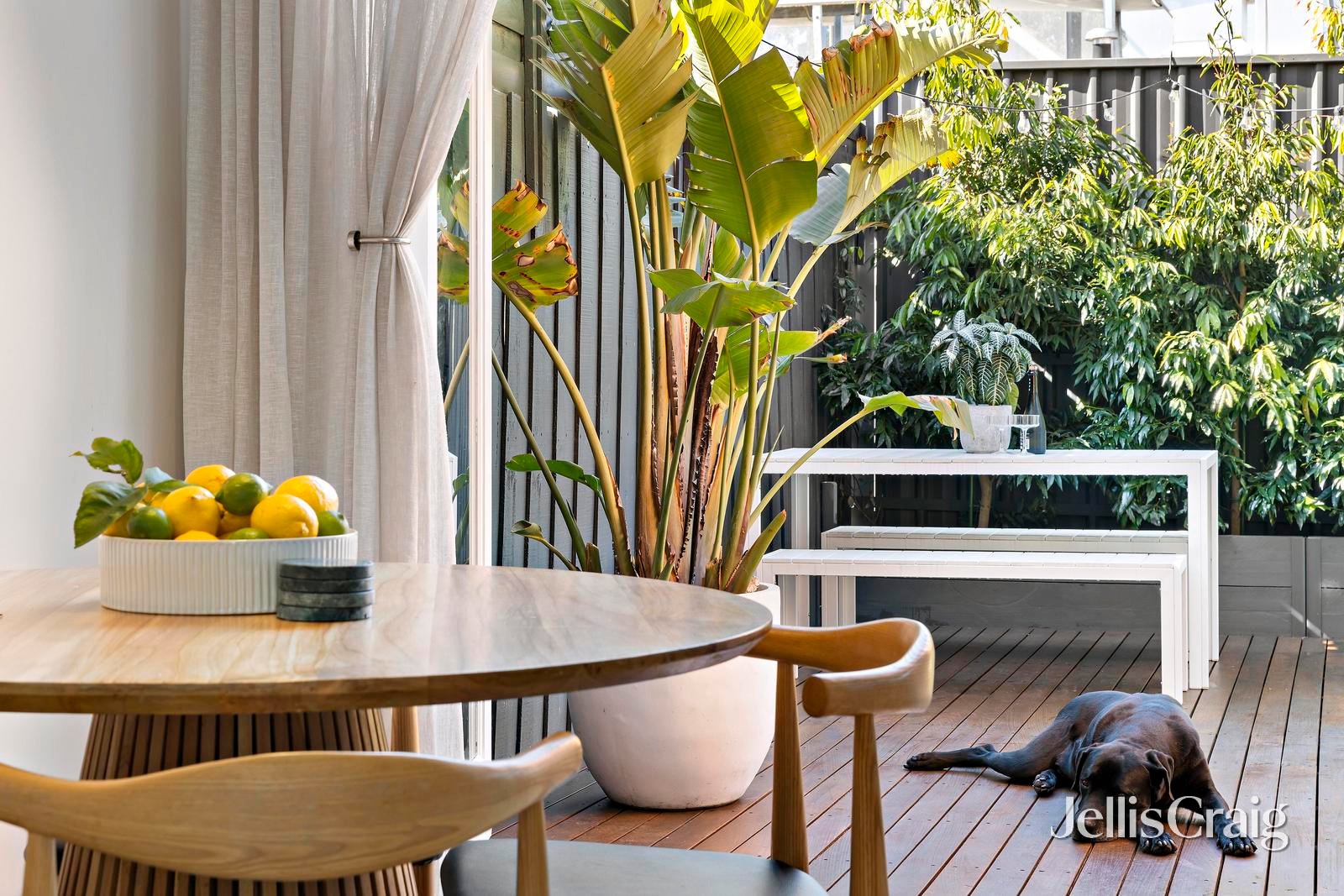 8/39 Maribyrnong Road, Ascot&nbsp;Vale image 5