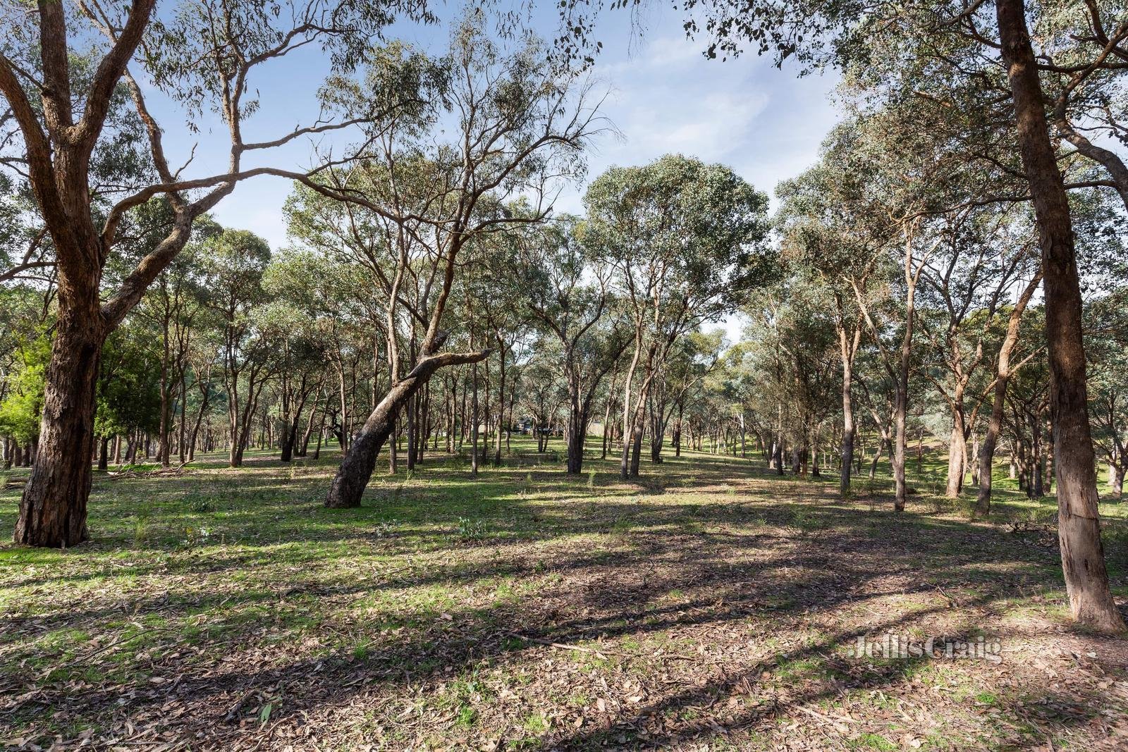 84 Wadeson Road, Hurstbridge image 2