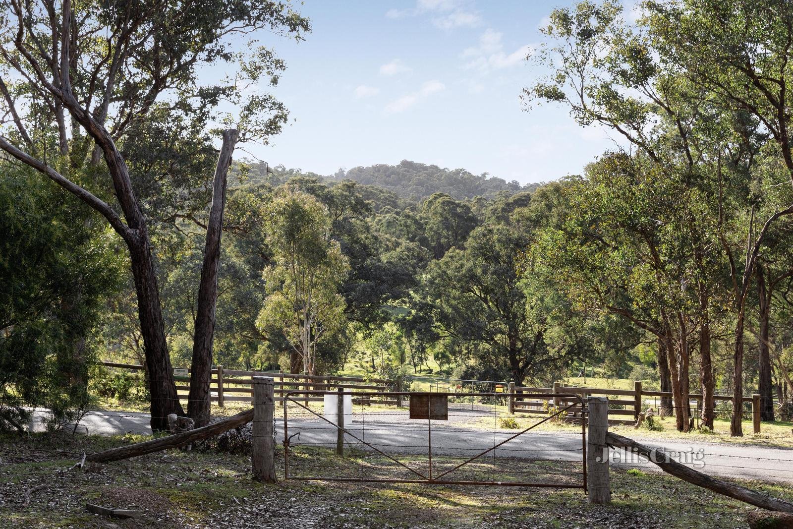 84 Wadeson Road, Hurstbridge image 3