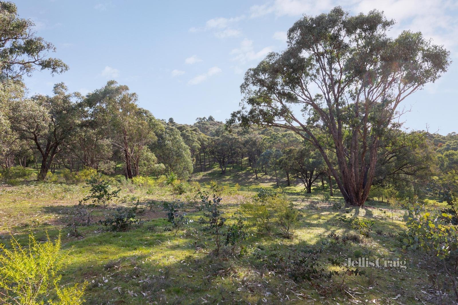 84 Wadeson Road, Hurstbridge image 4