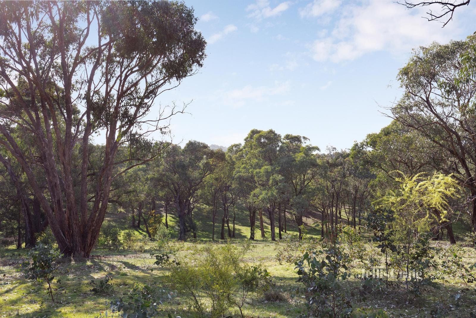 84 Wadeson Road, Hurstbridge image 5