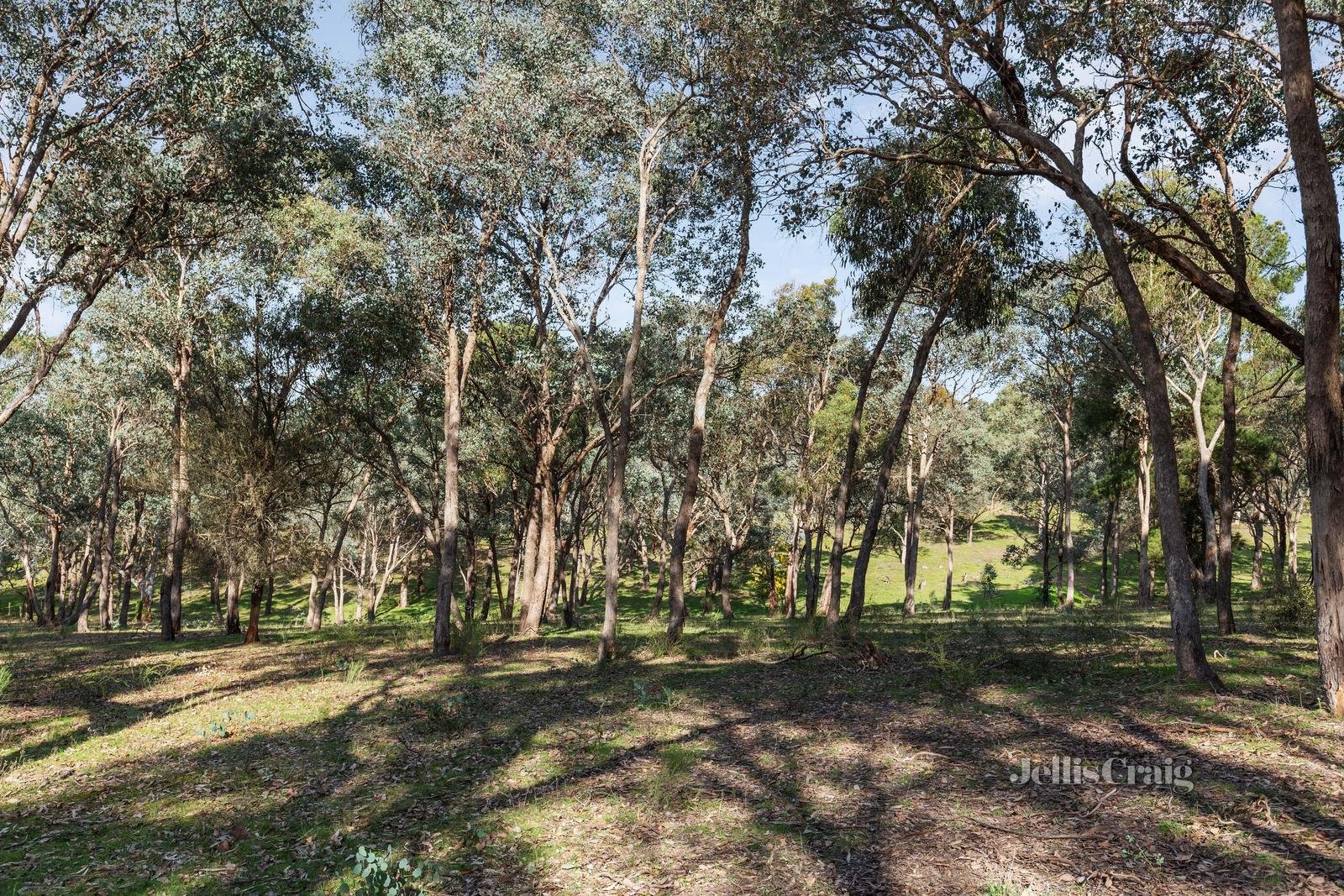 84 Wadeson Road, Hurstbridge image 6