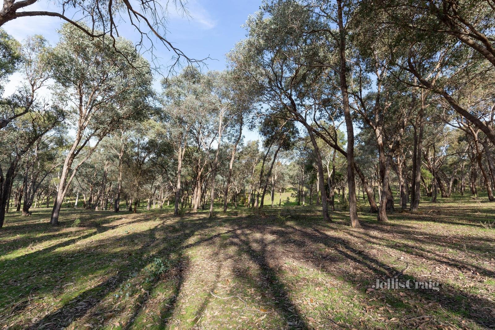 84 Wadeson Road, Hurstbridge image 7