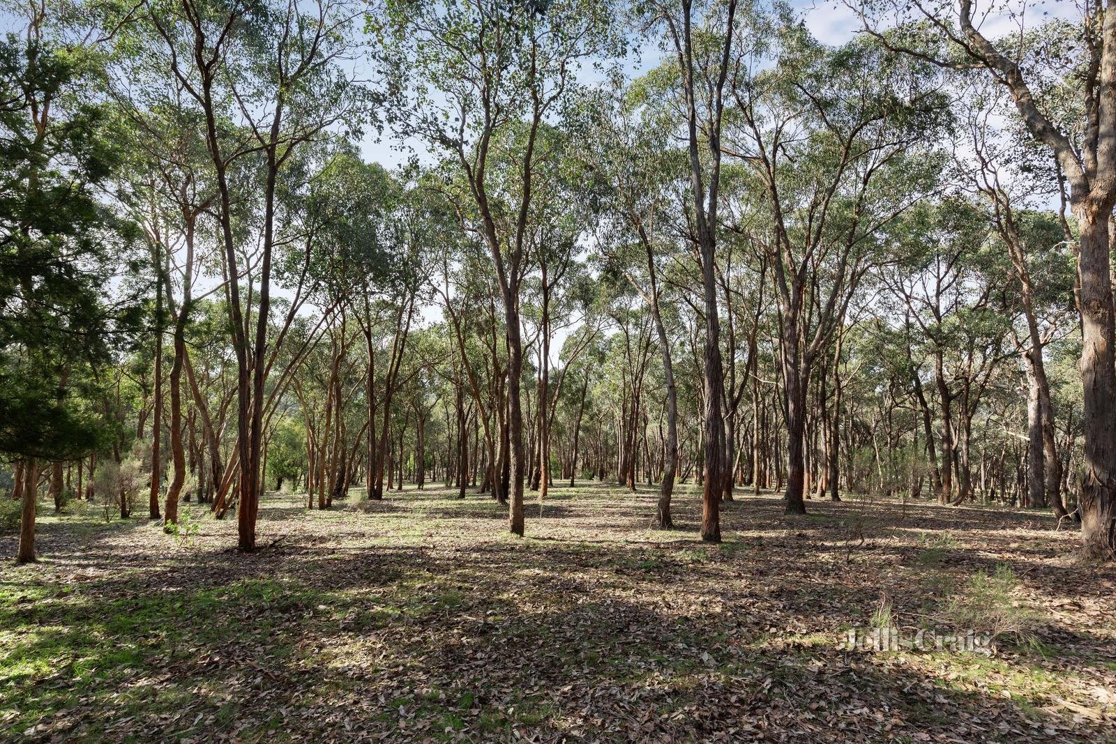 84 Wadeson Road, Hurstbridge image 8