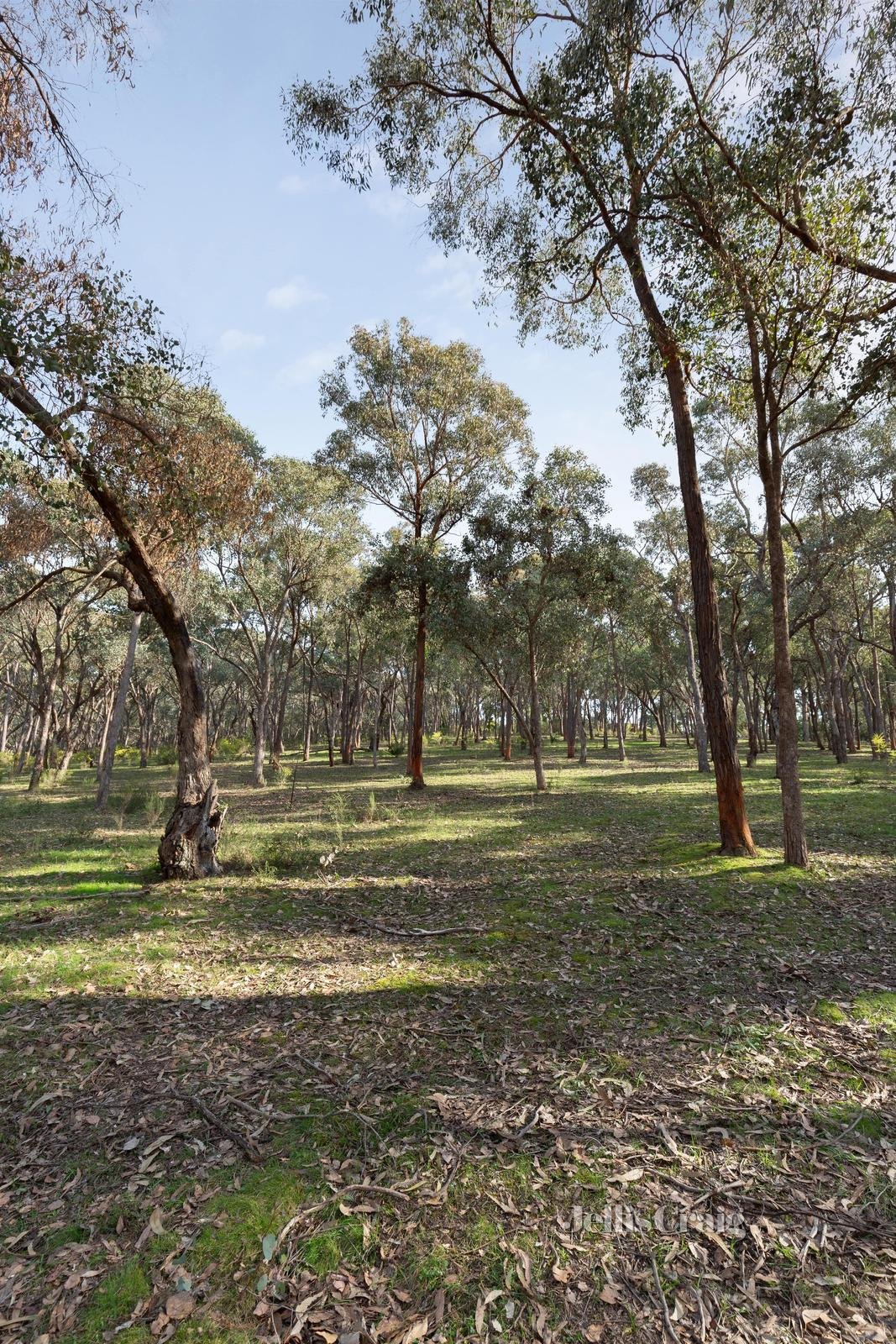 84 Wadeson Road, Hurstbridge image 10