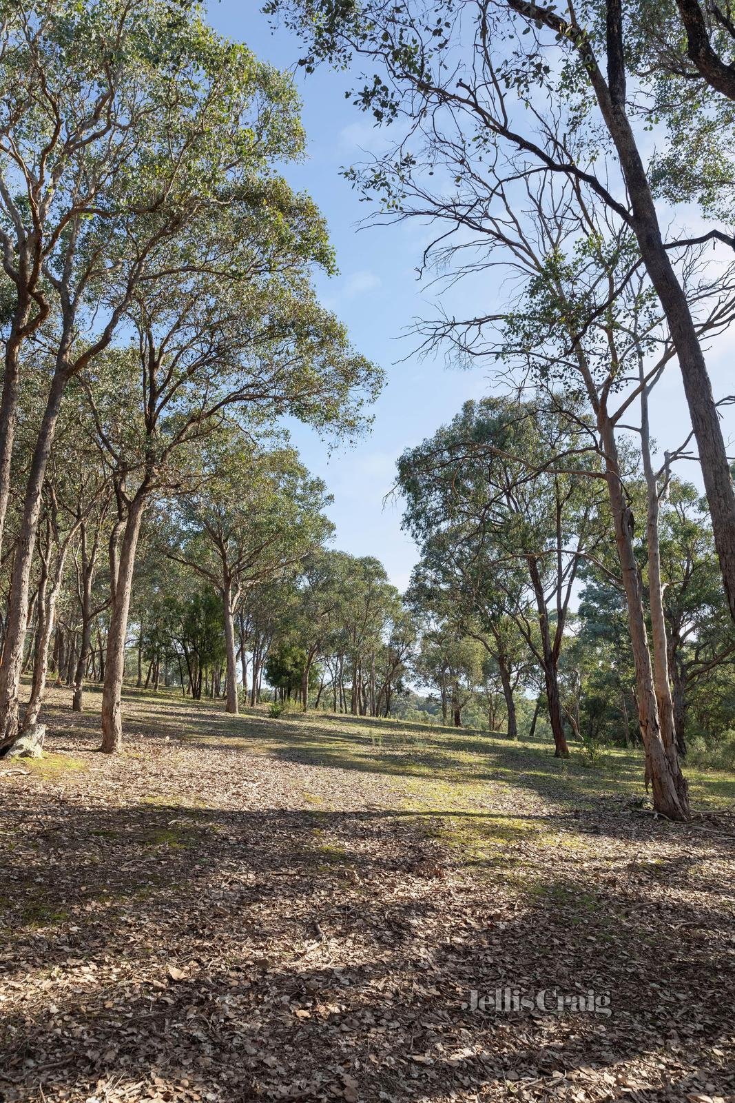 84 Wadeson Road, Hurstbridge image 11