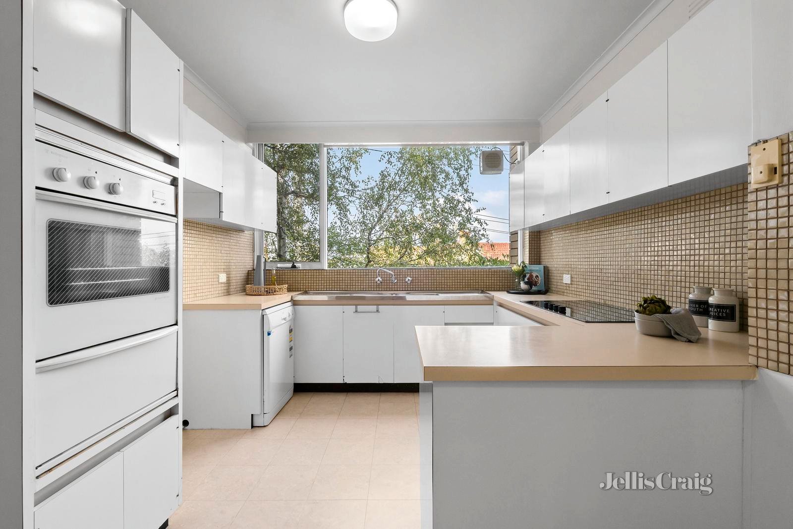 8/480 Glenferrie Road, Hawthorn image 7