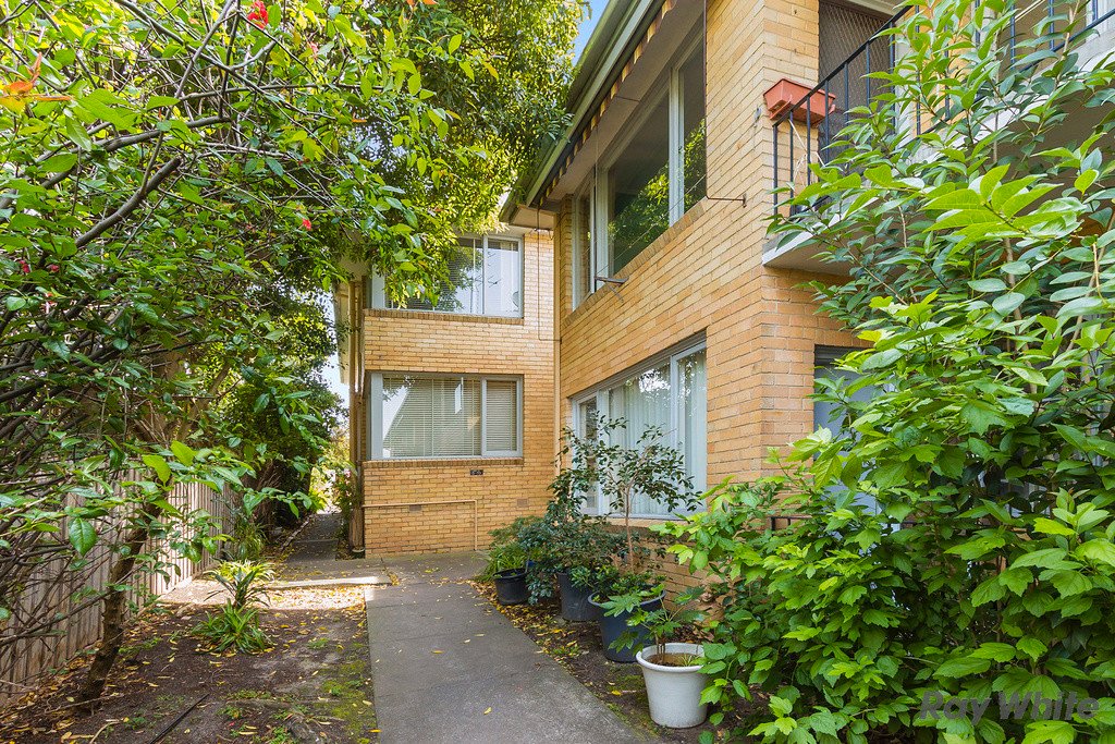 8/483 Whitehorse Road, Balwyn image 7