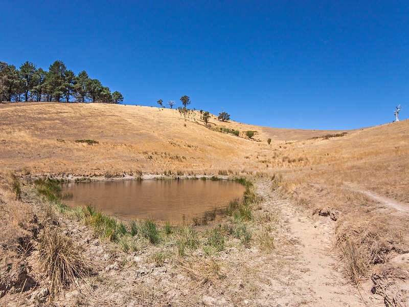 85 Allandale Road, Strath Creek image 14