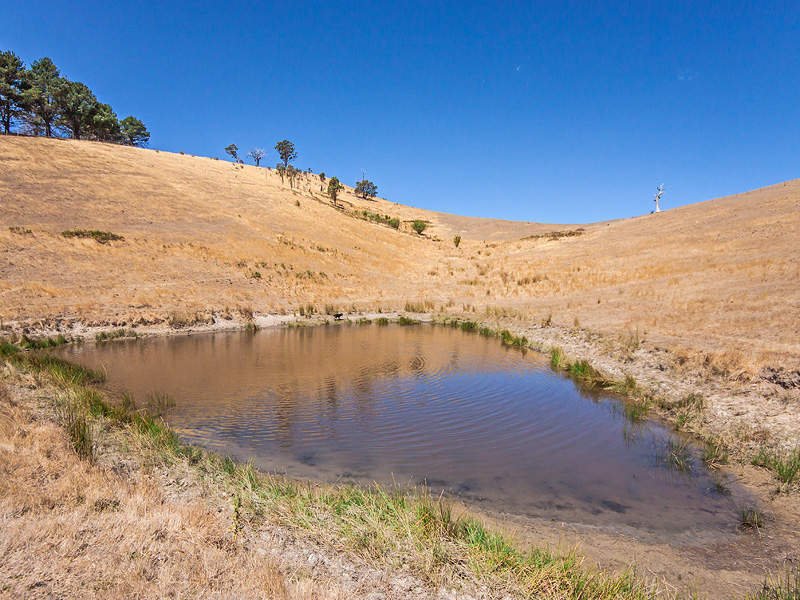 85 Allandale Road, Strath Creek image 15