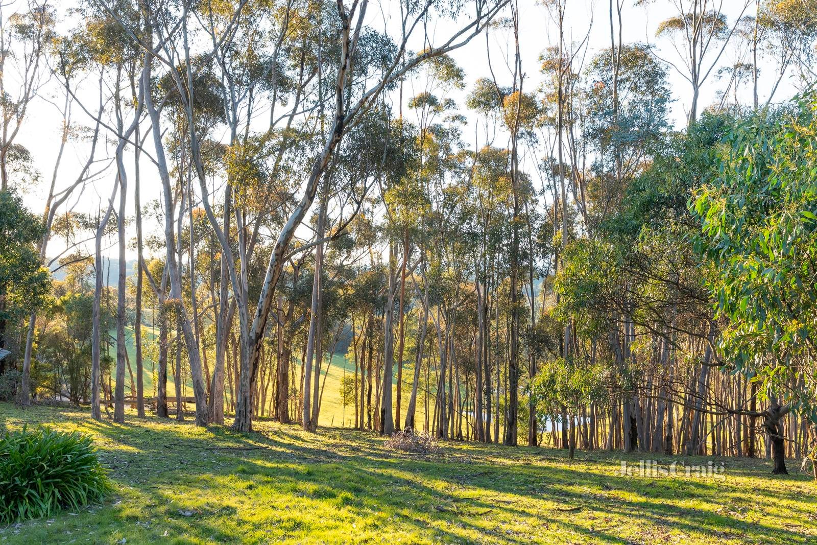 85 Barreenong Road, Cottles Bridge image 21