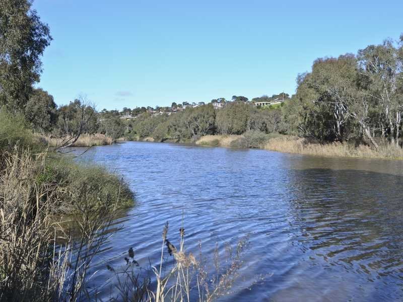 85 Buckingham Road, Newtown image 8