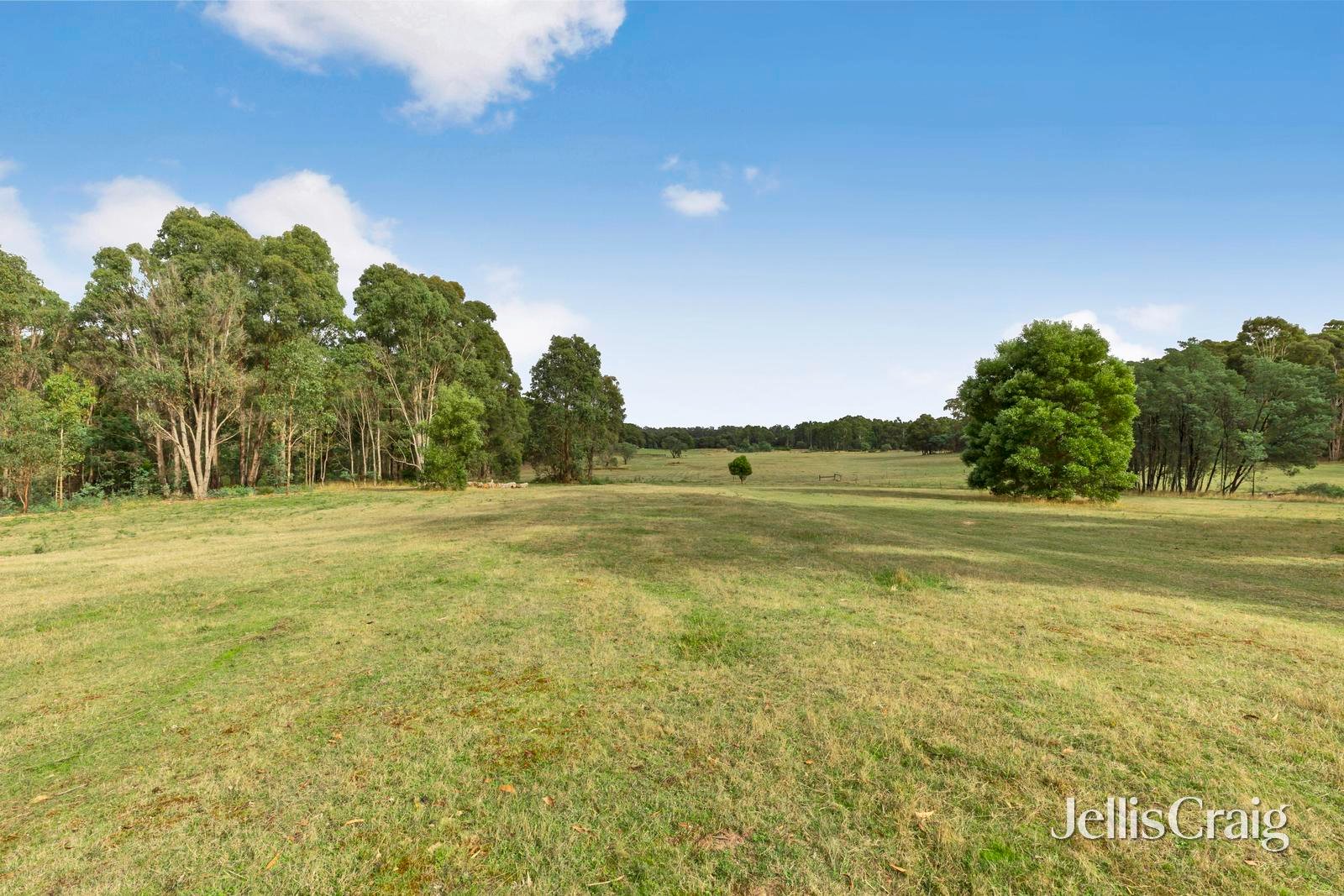 85 Lightwood Drive, Wheatsheaf image 3