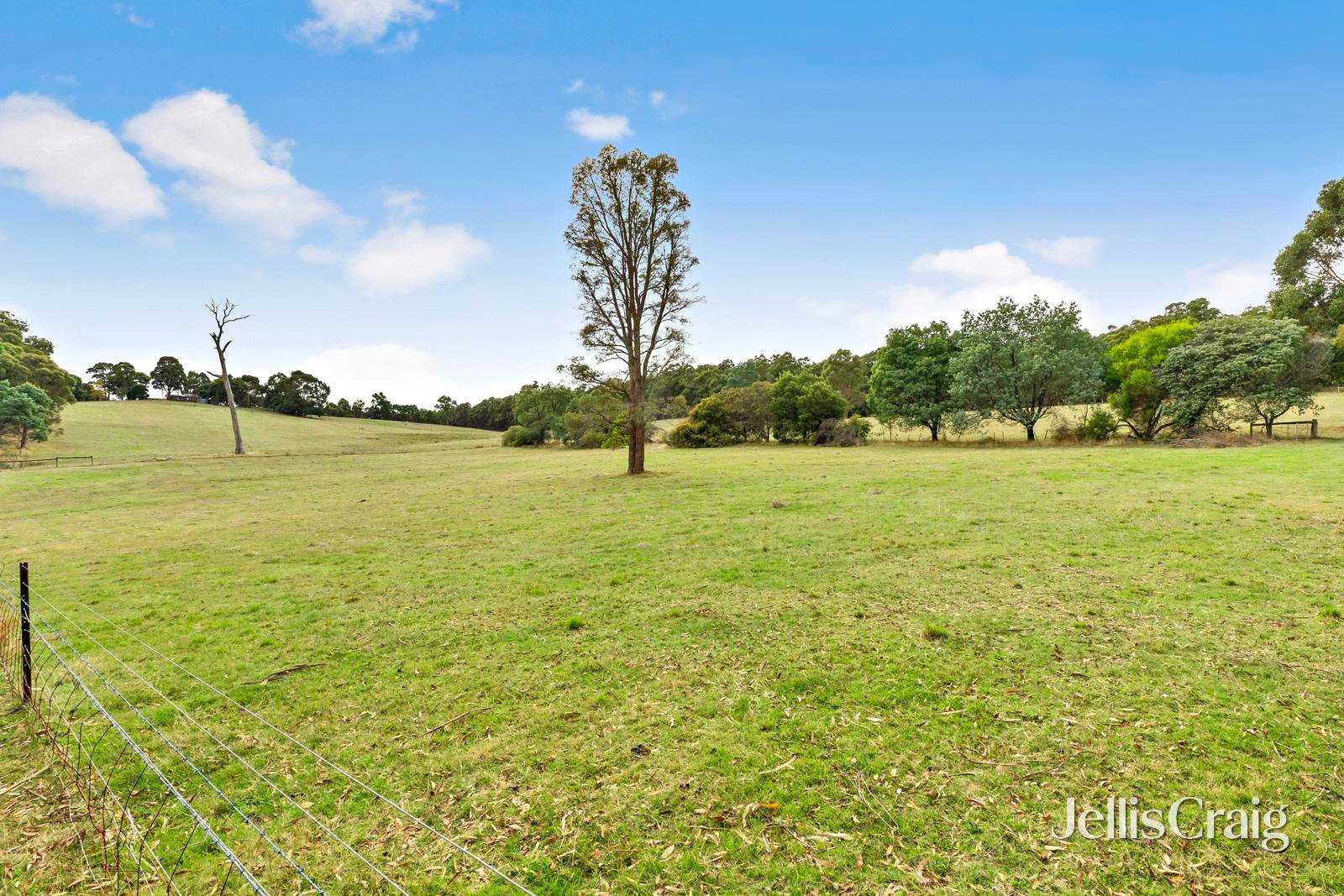 85 Lightwood Drive, Wheatsheaf image 4
