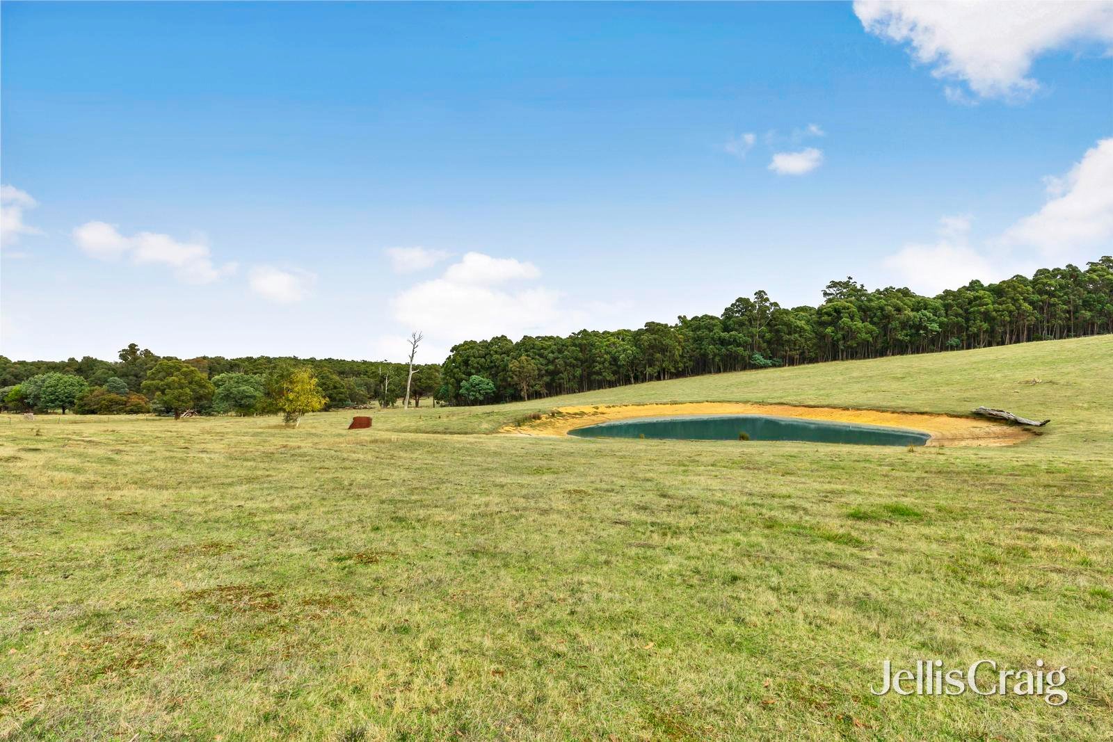 85 Lightwood Drive, Wheatsheaf image 5