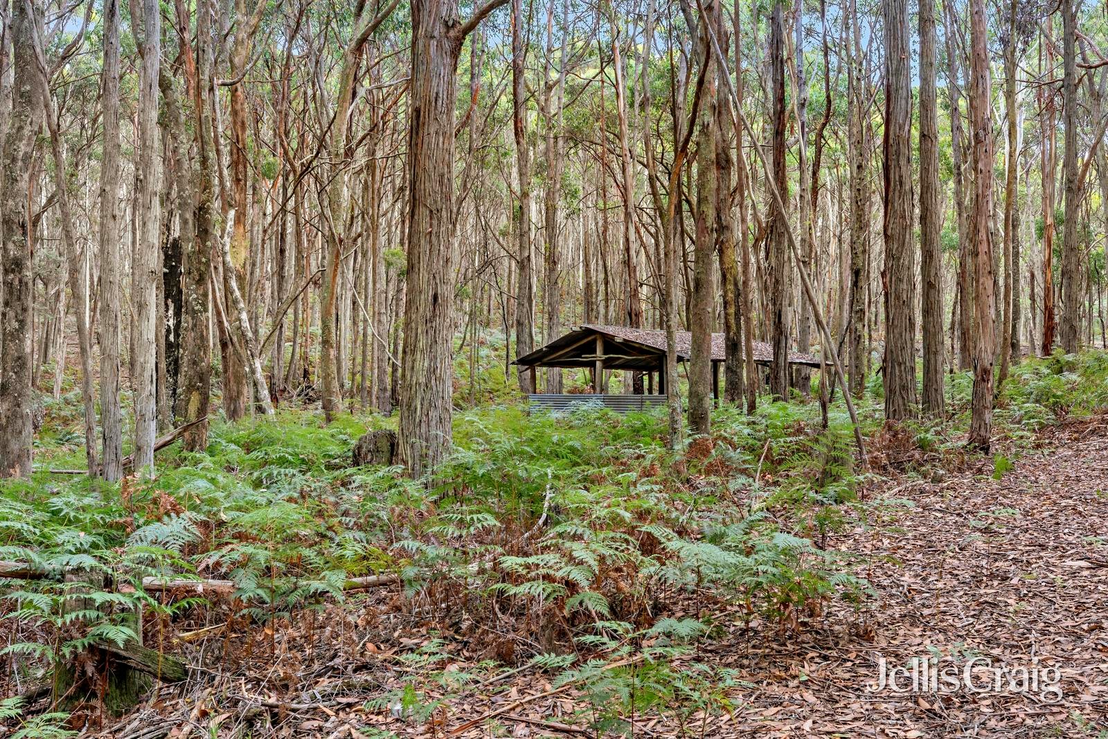 85 Lightwood Drive, Wheatsheaf image 7