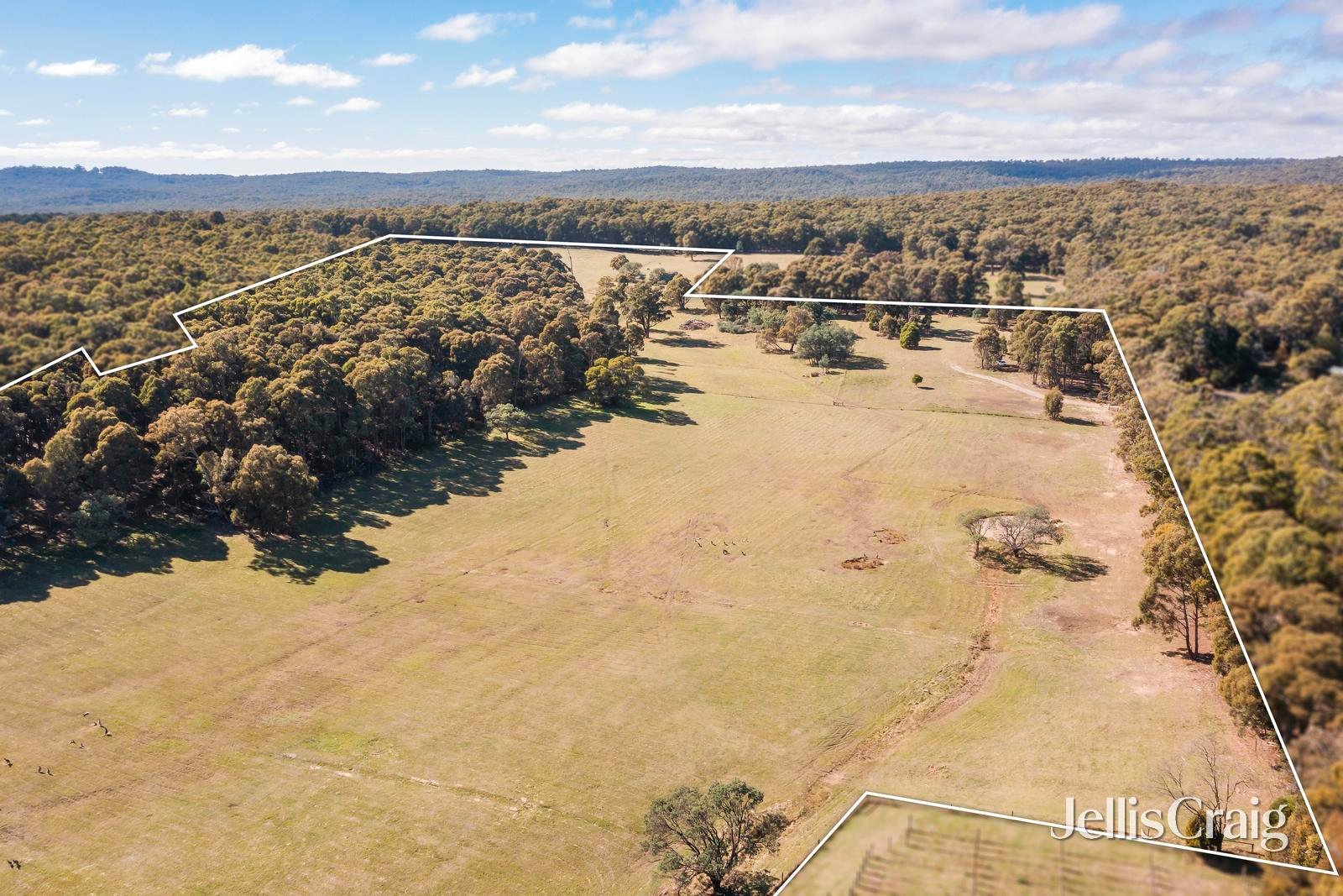 85 Lightwood Drive, Wheatsheaf image 10