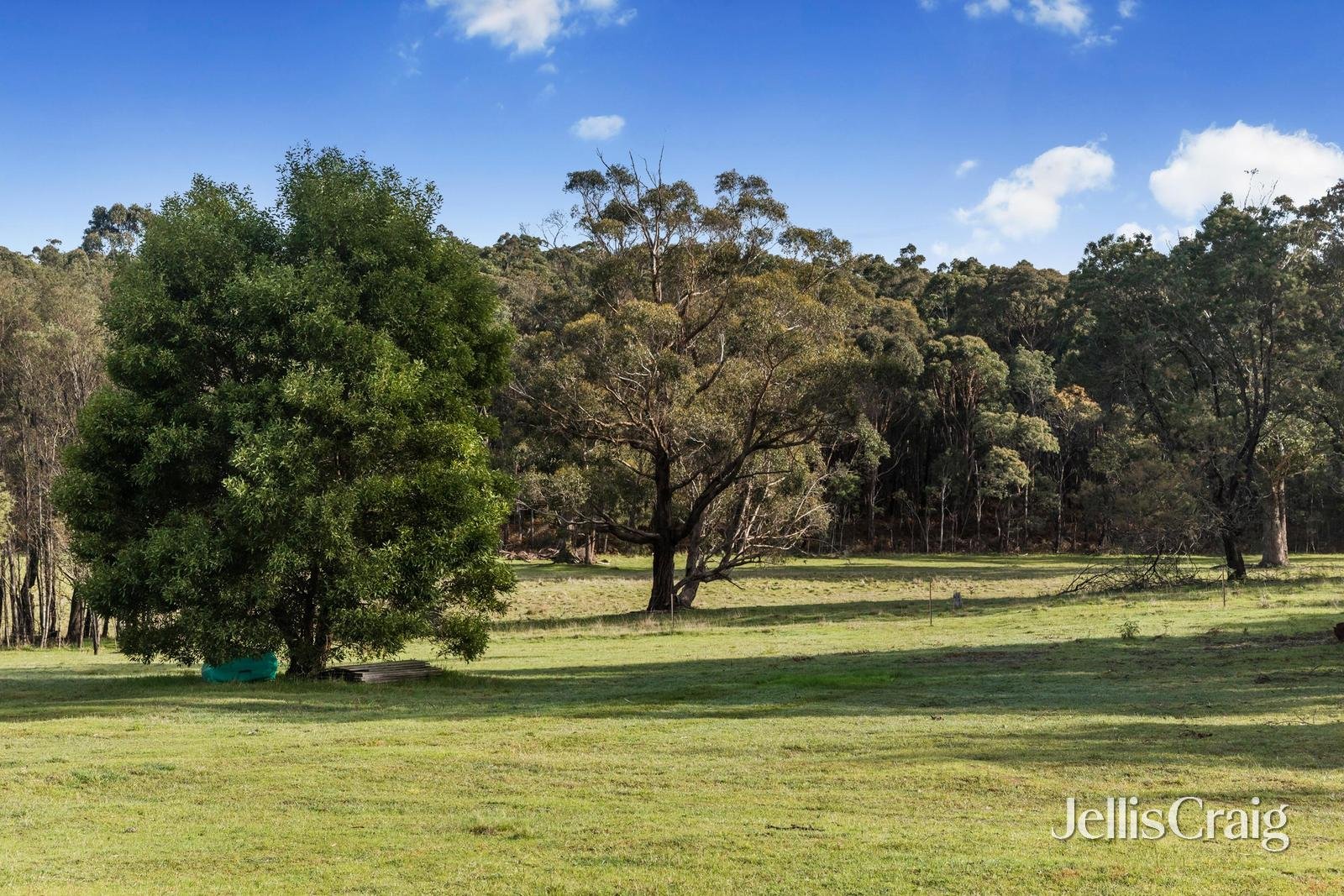 85 Lightwood Drive, Wheatsheaf image 11