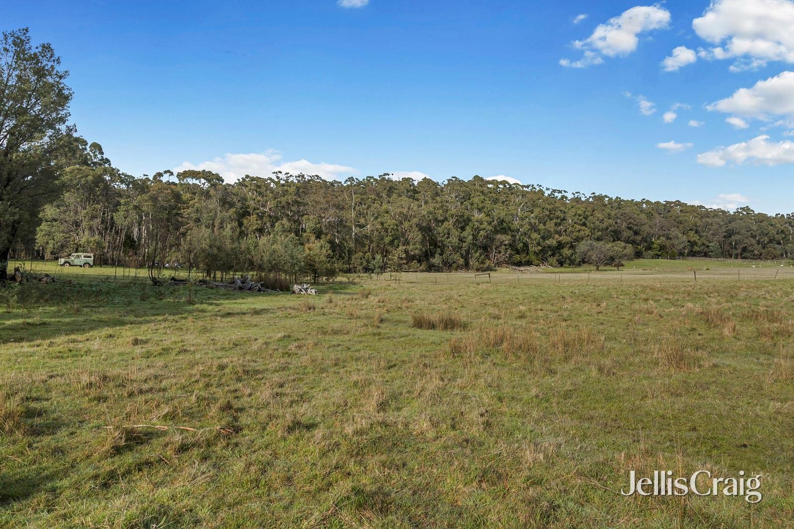 85 Lightwood Drive, Wheatsheaf image 13