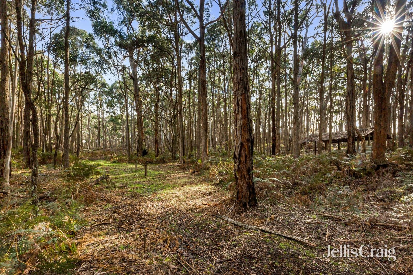 85 Lightwood Drive, Wheatsheaf image 17