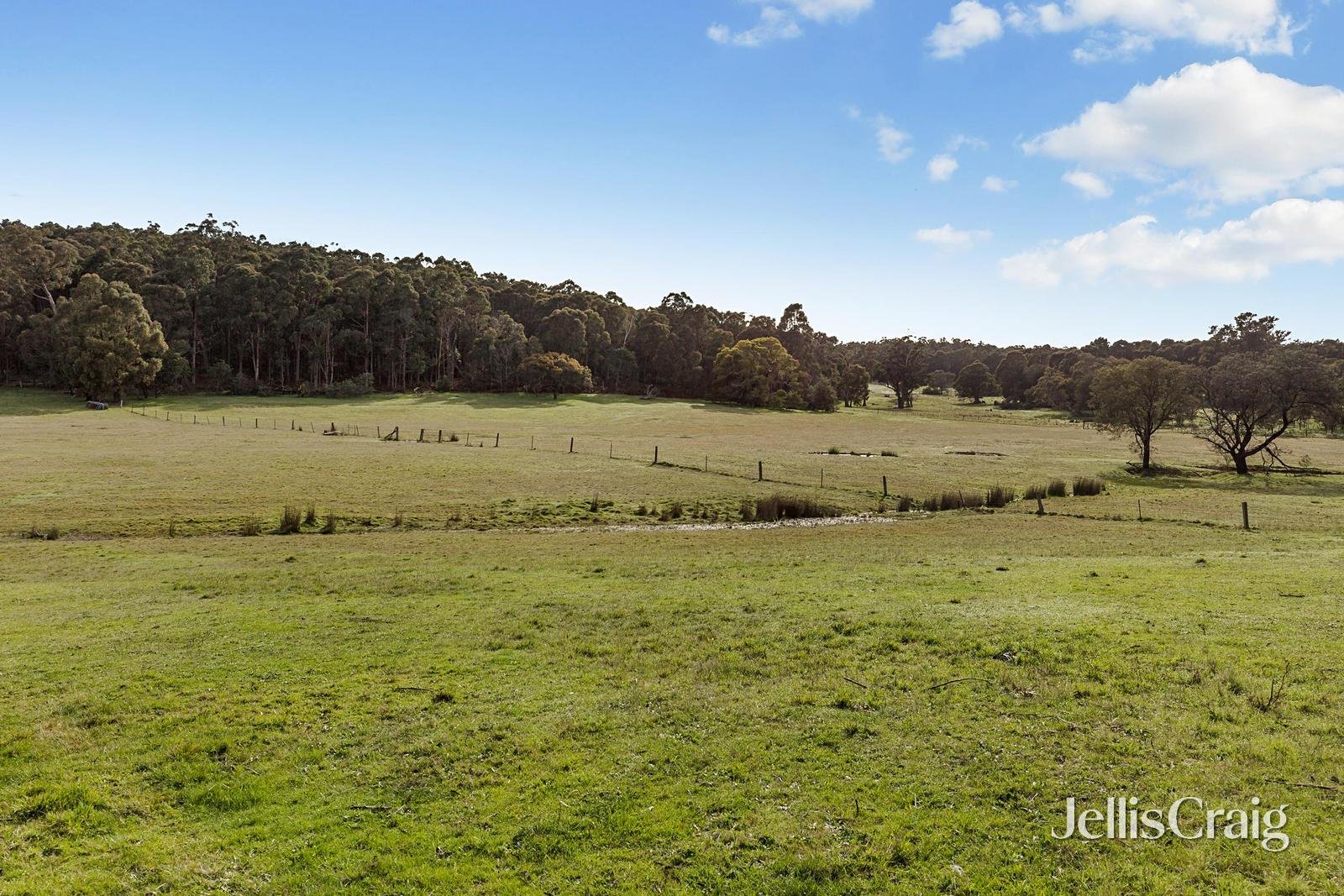 85 Lightwood Drive, Wheatsheaf image 19