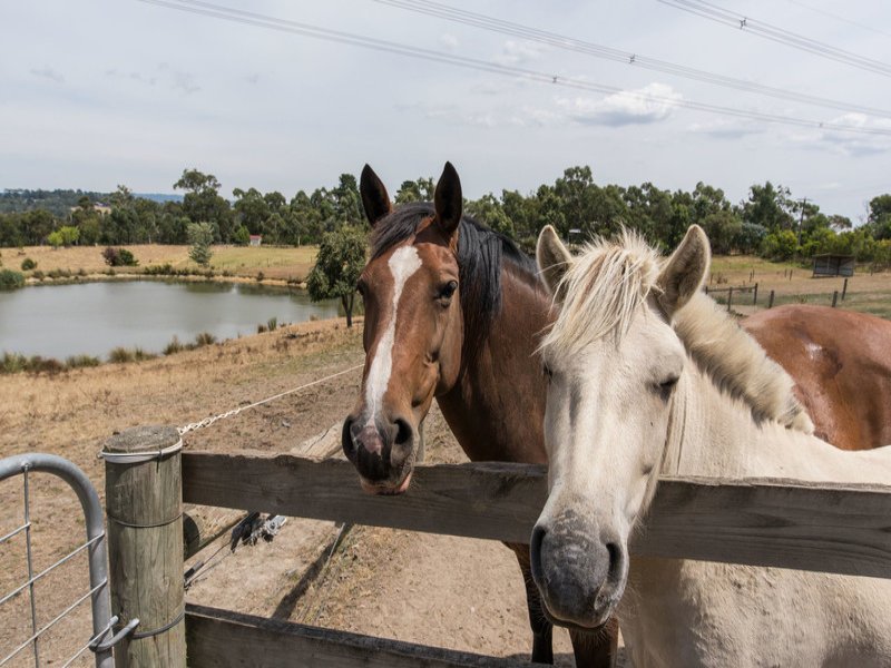 850-856 Warburton Highway, Seville East image 2