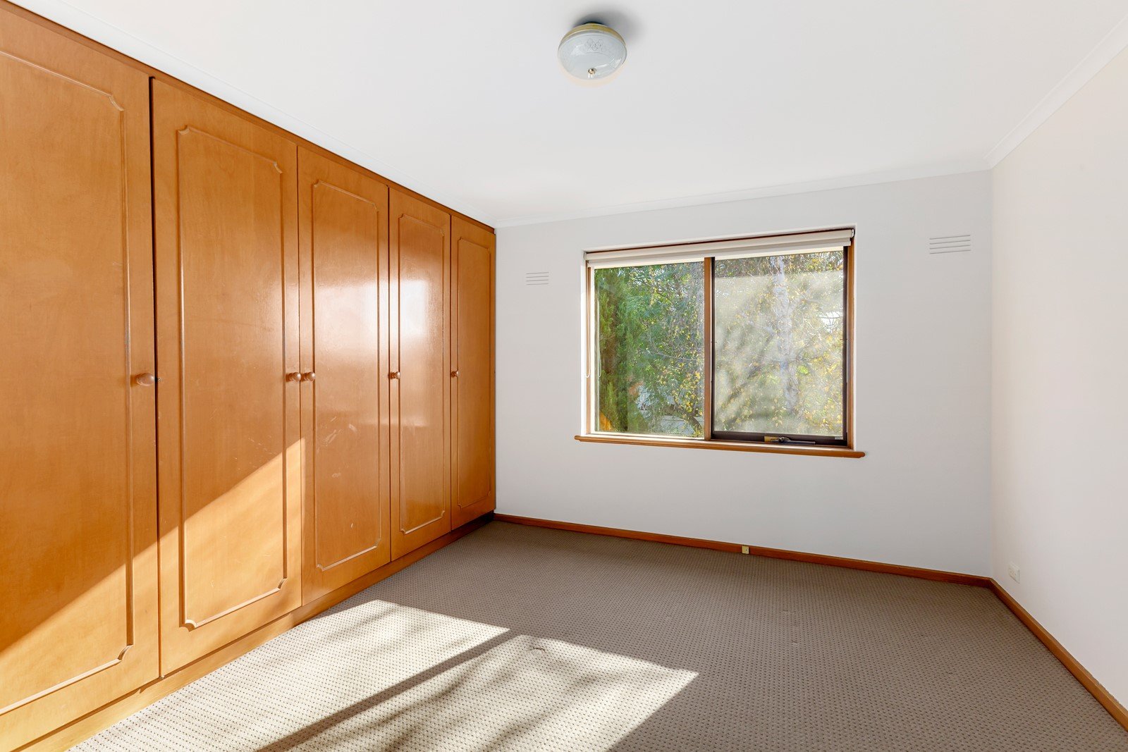 8/50 Disraeli Street, Kew image 4