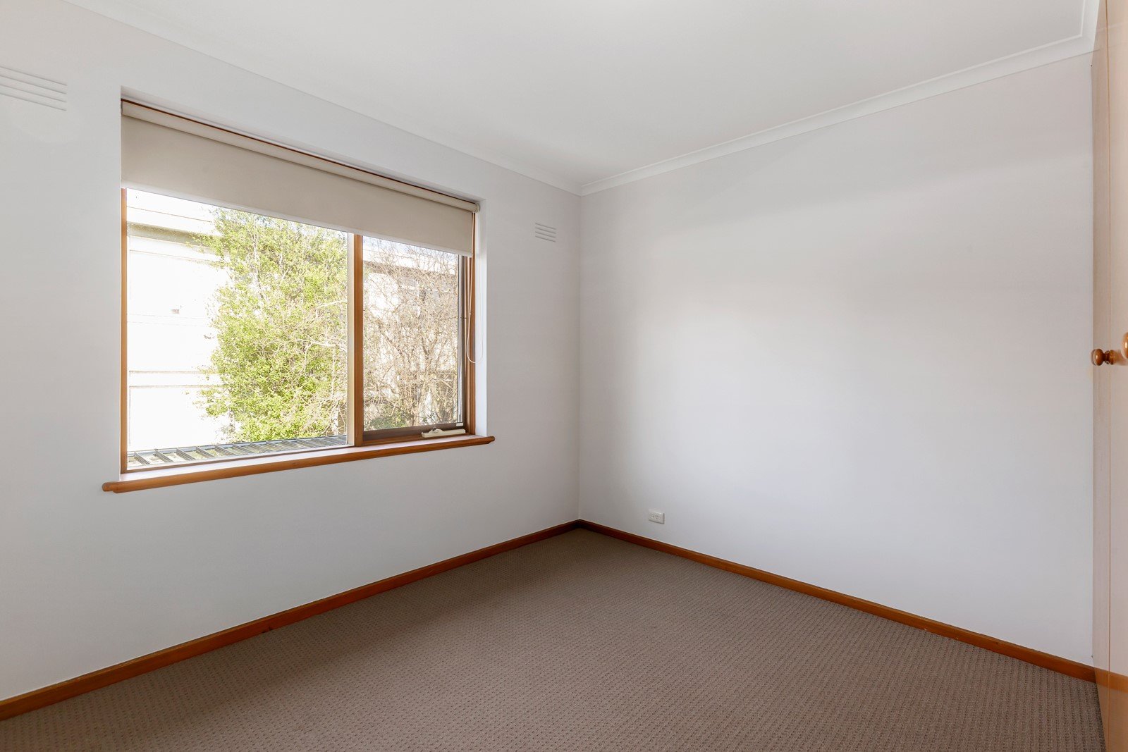 8/50 Disraeli Street, Kew image 5