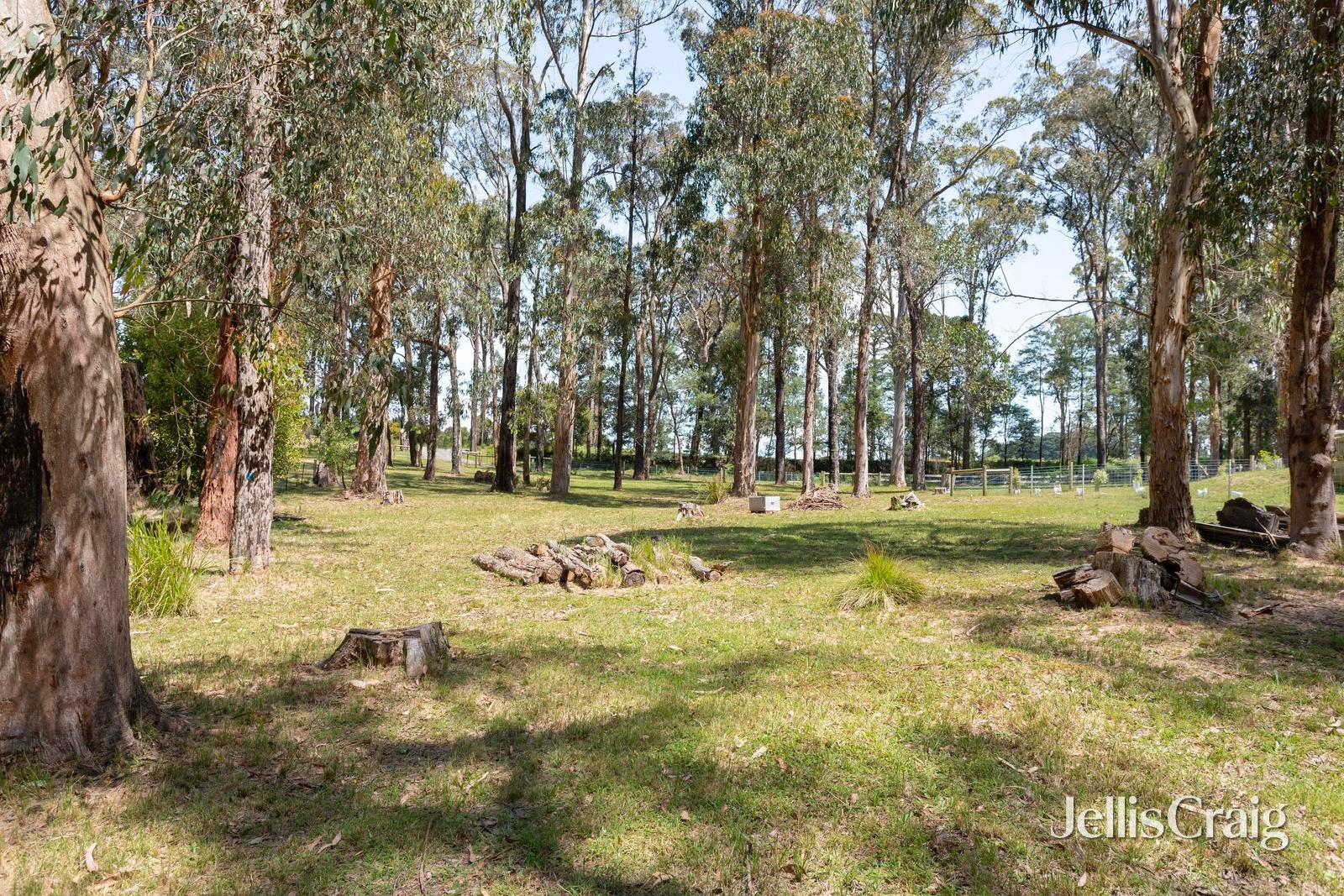 852 Whittlesea-Kinglake Road, Kinglake&nbsp;West image 2