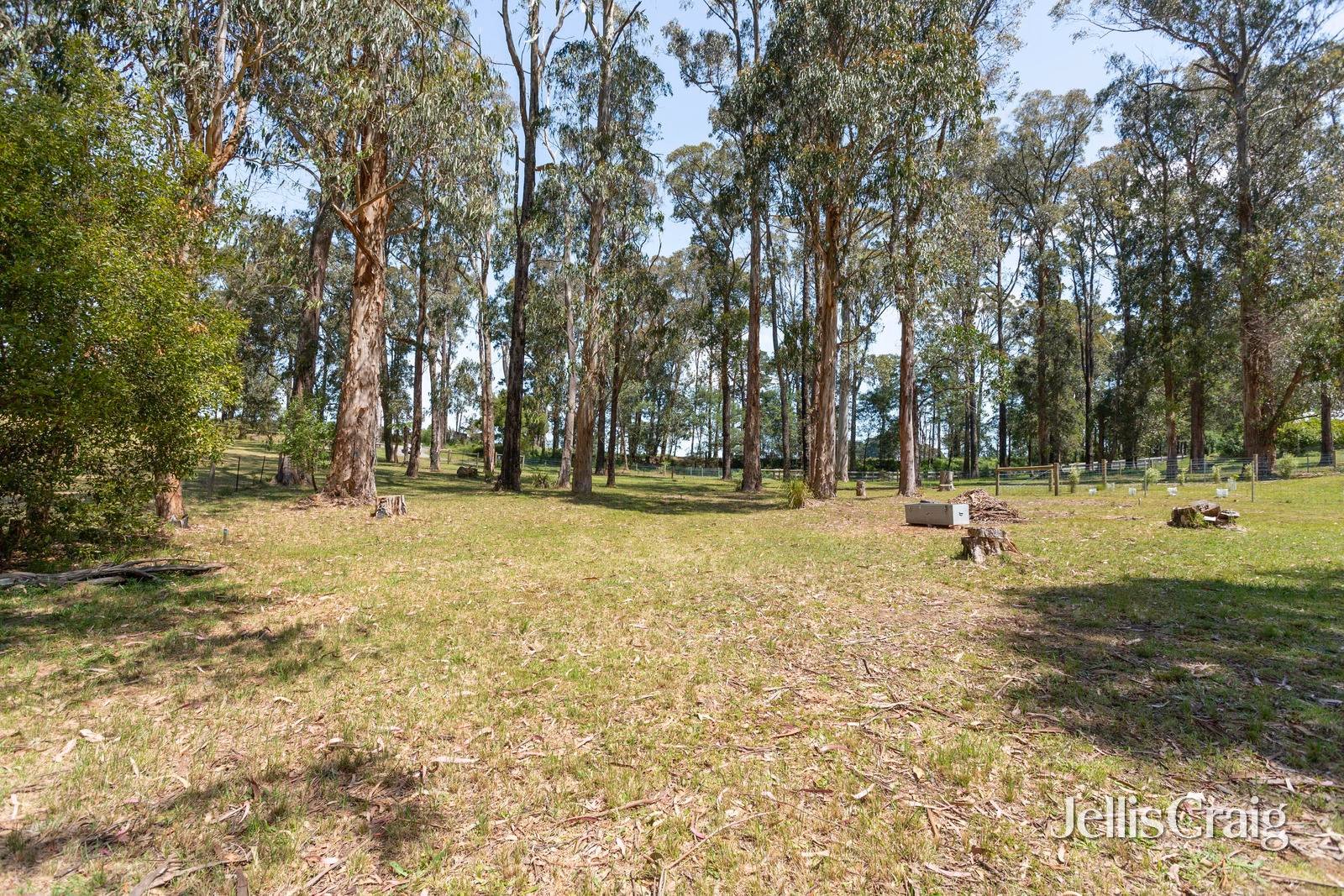 852 Whittlesea-Kinglake Road, Kinglake&nbsp;West image 3