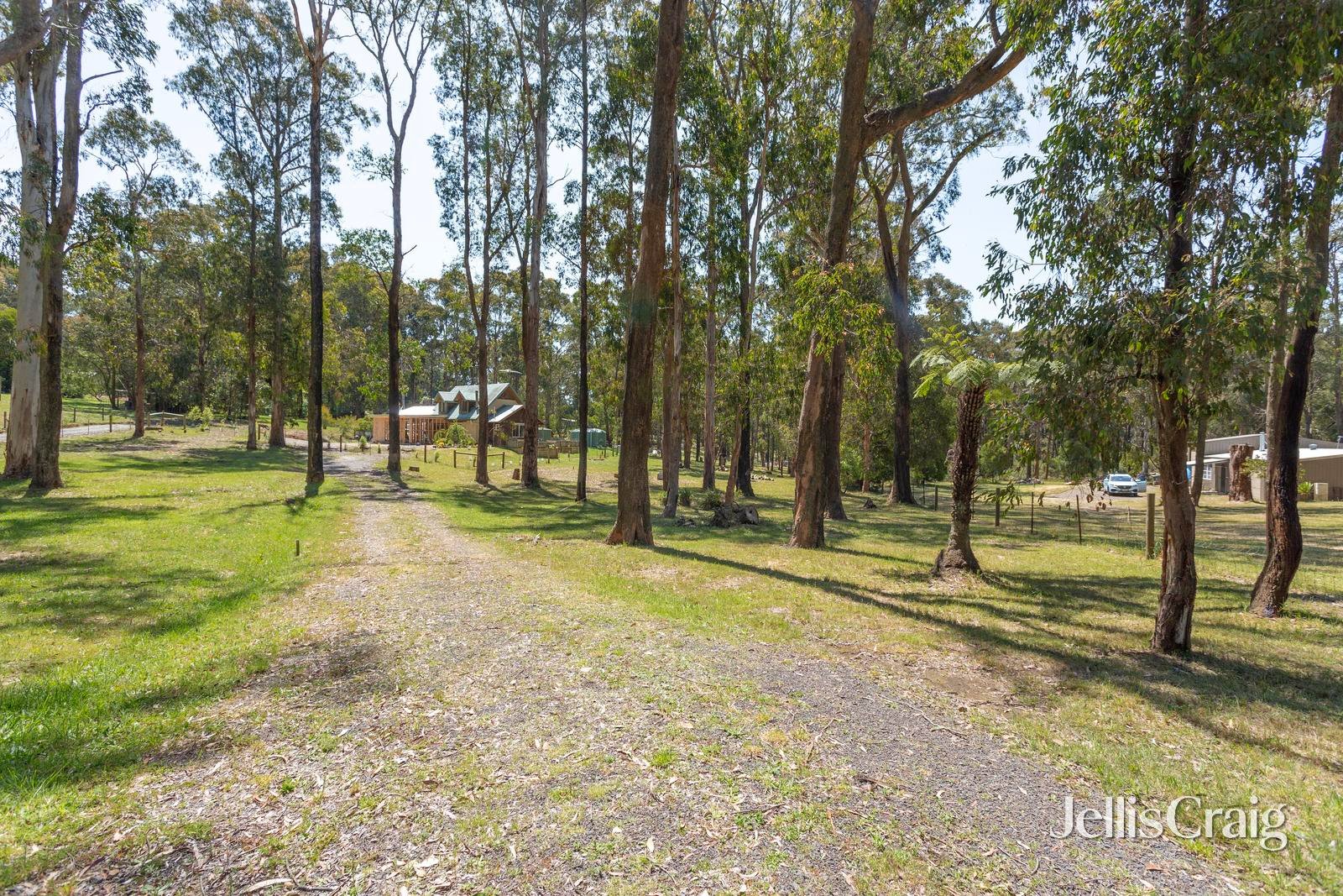 852 Whittlesea-Kinglake Road, Kinglake&nbsp;West image 6