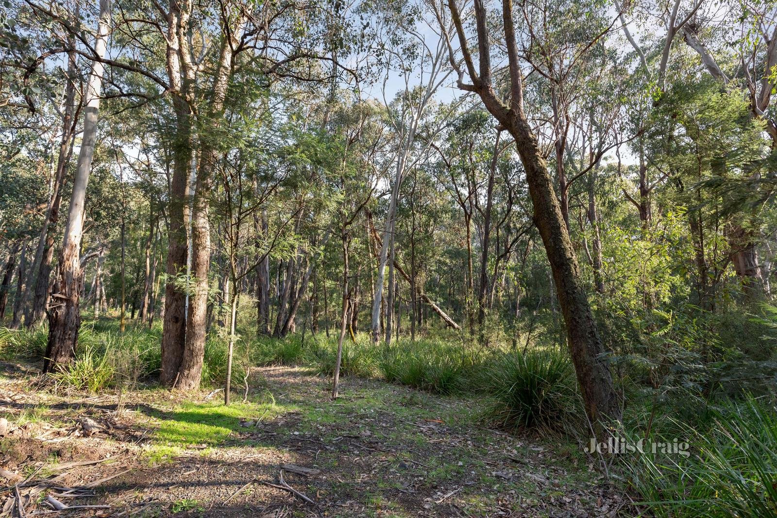 856 Buttermans Track, Christmas Hills image 2