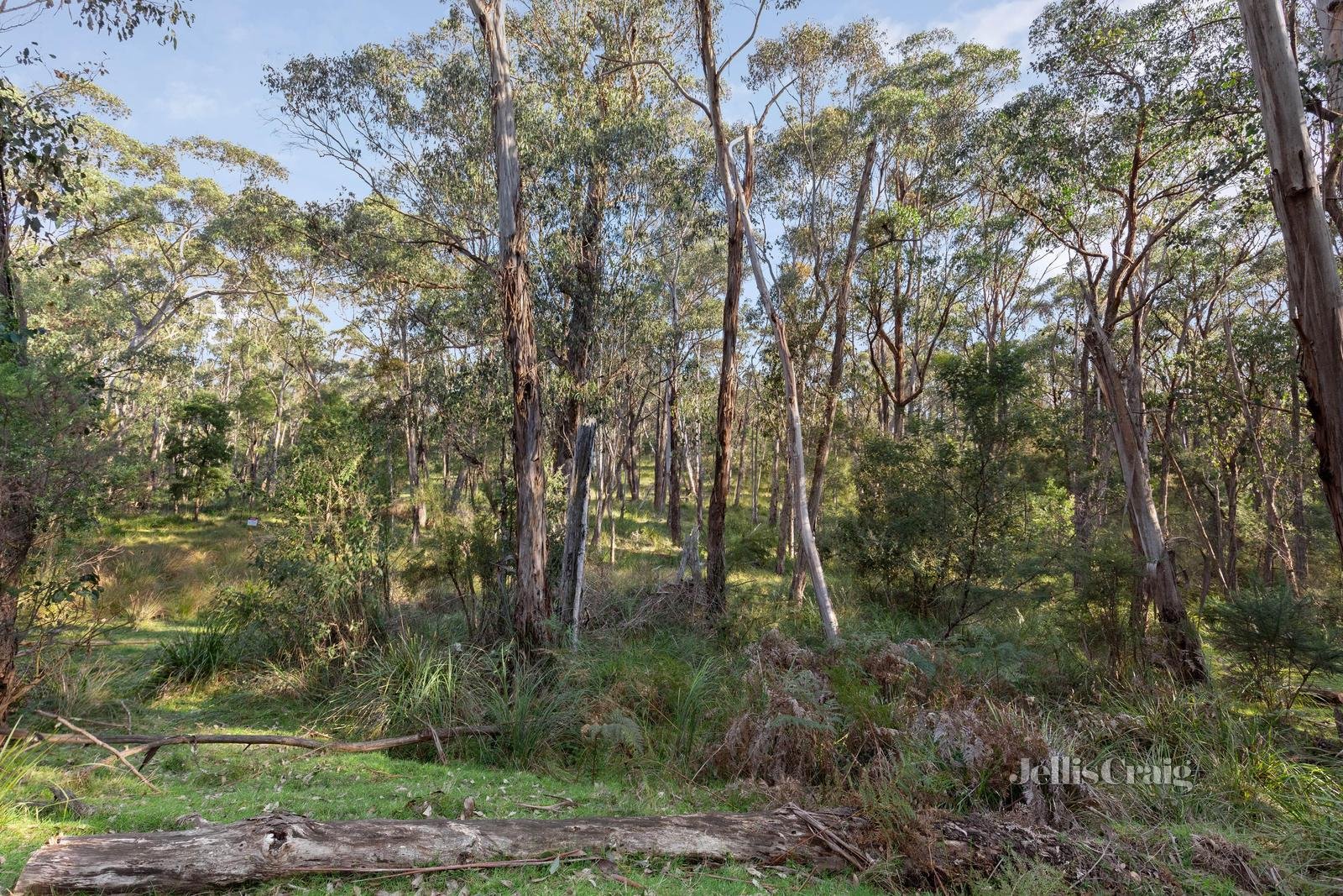 856 Buttermans Track, Christmas Hills image 3