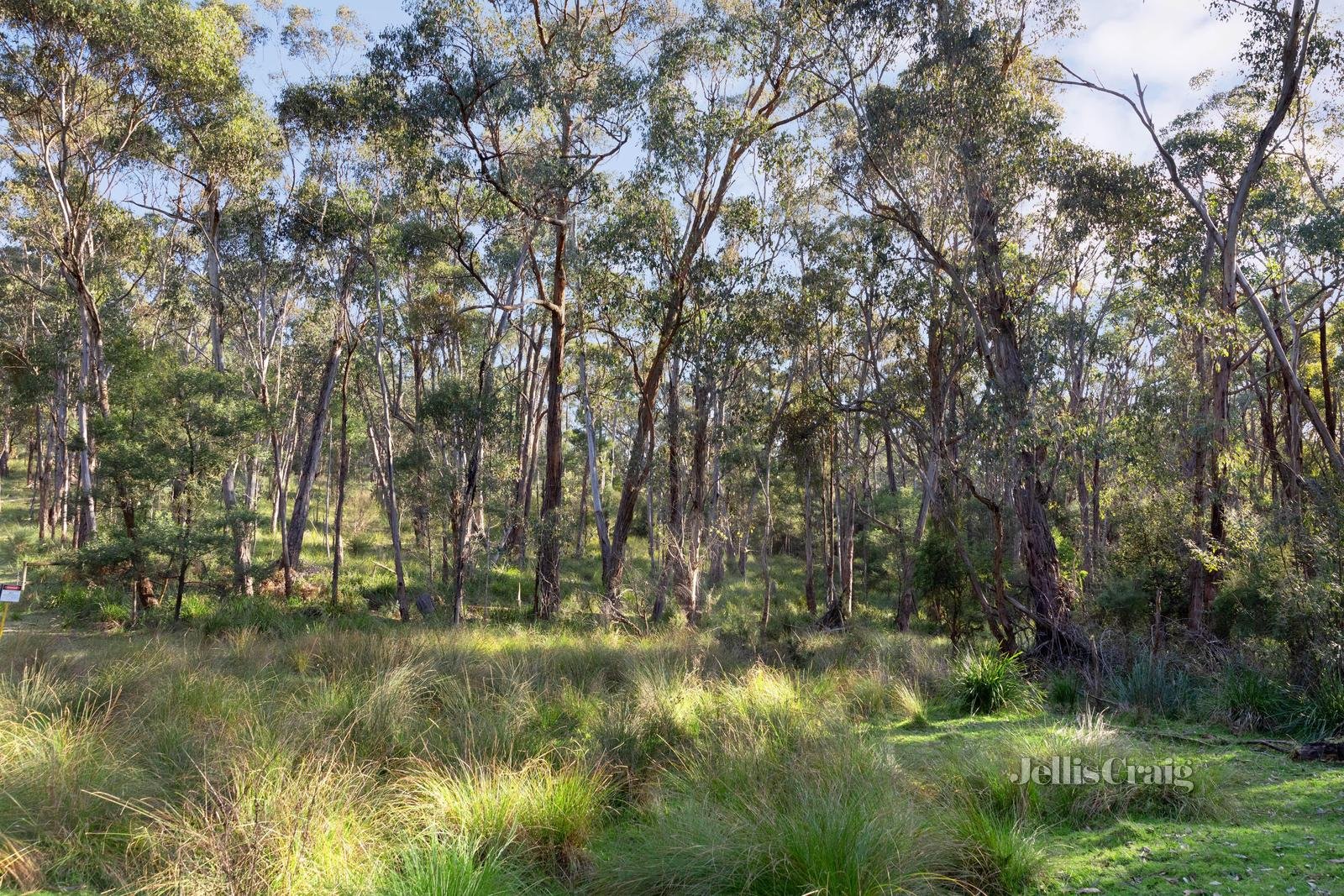 856 Buttermans Track, Christmas Hills image 4