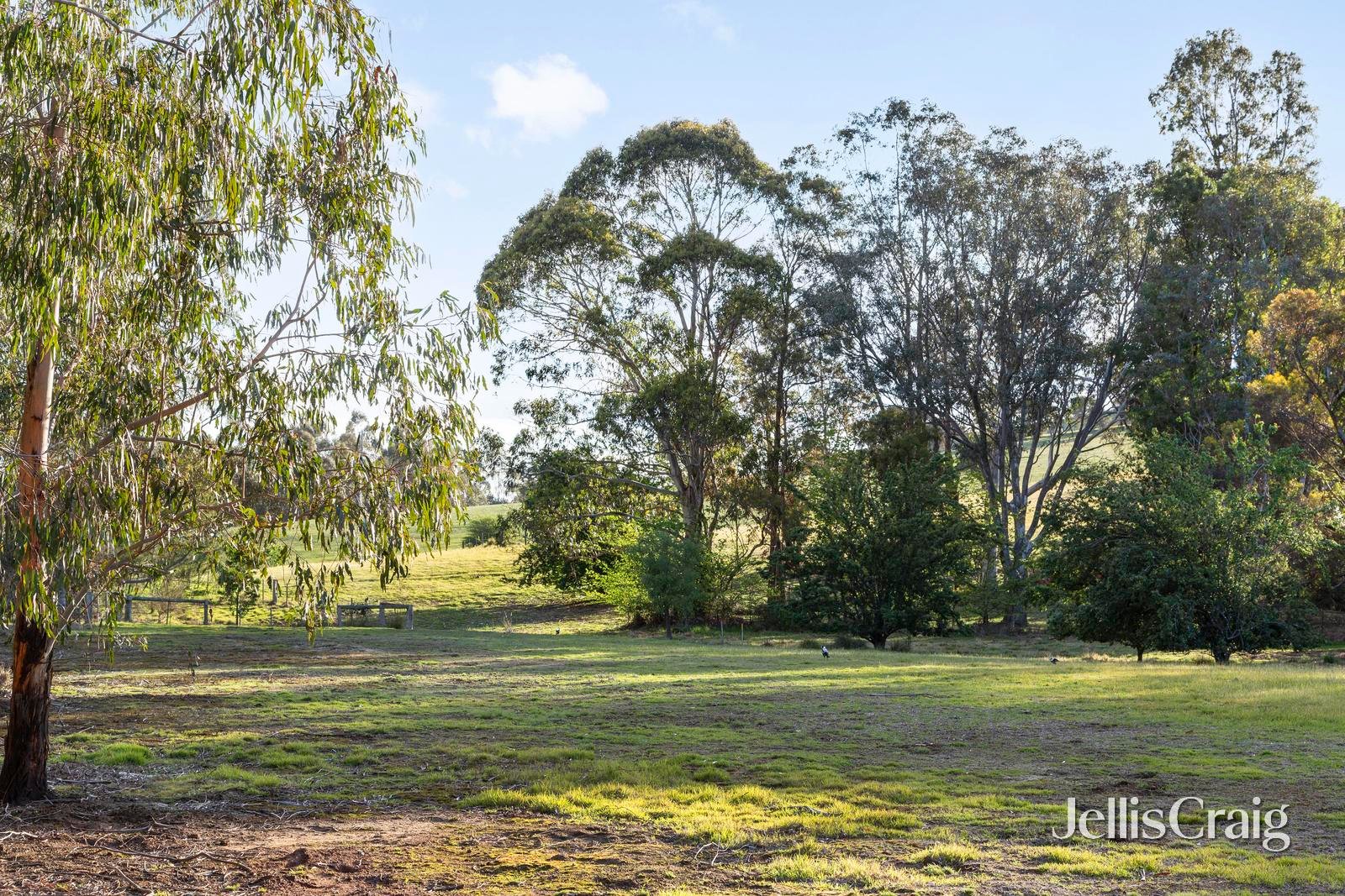 861 Hurstbridge-Arthurs Creek Road, Arthurs Creek image 16
