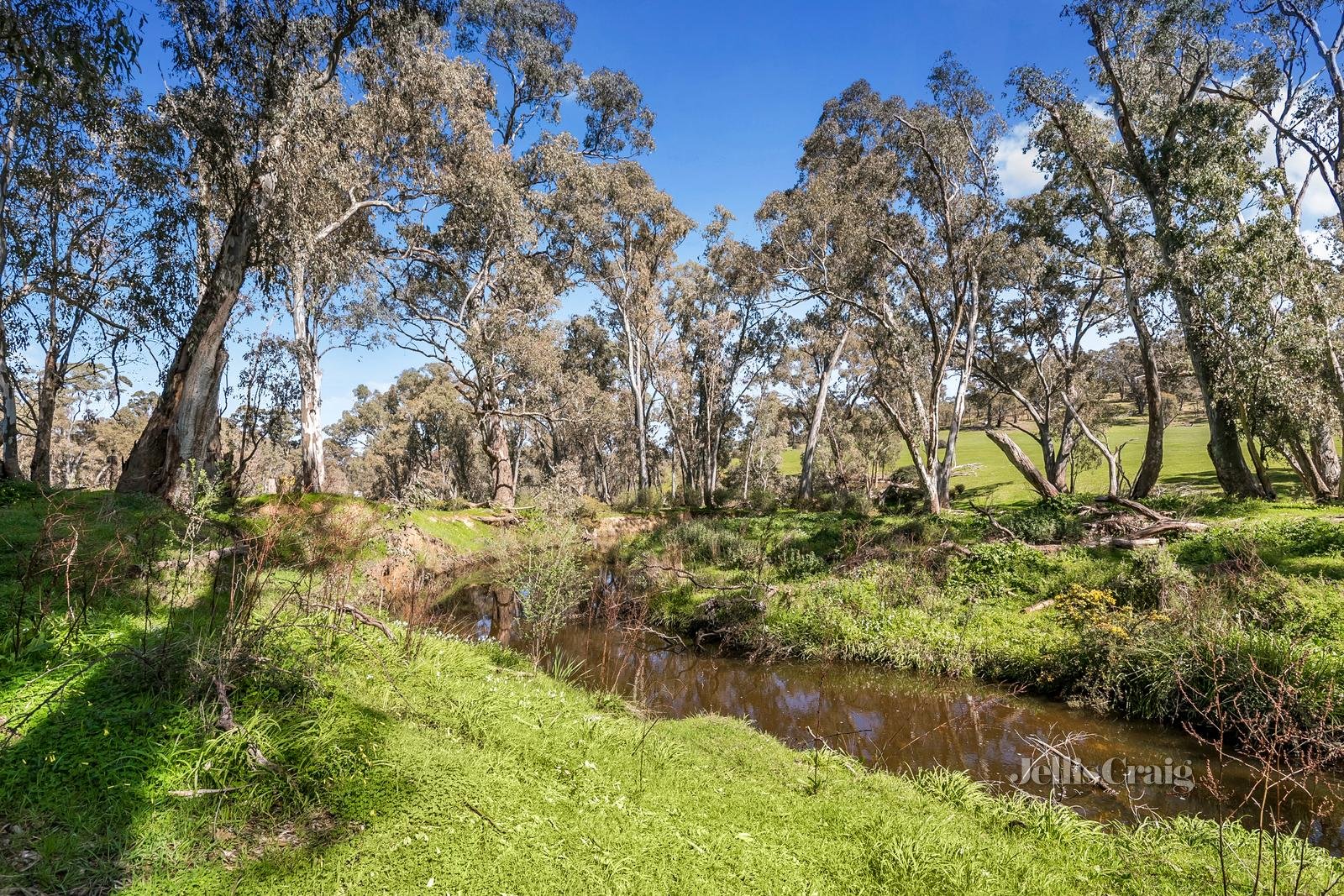 8623 Midland Highway, Barkers Creek image 17