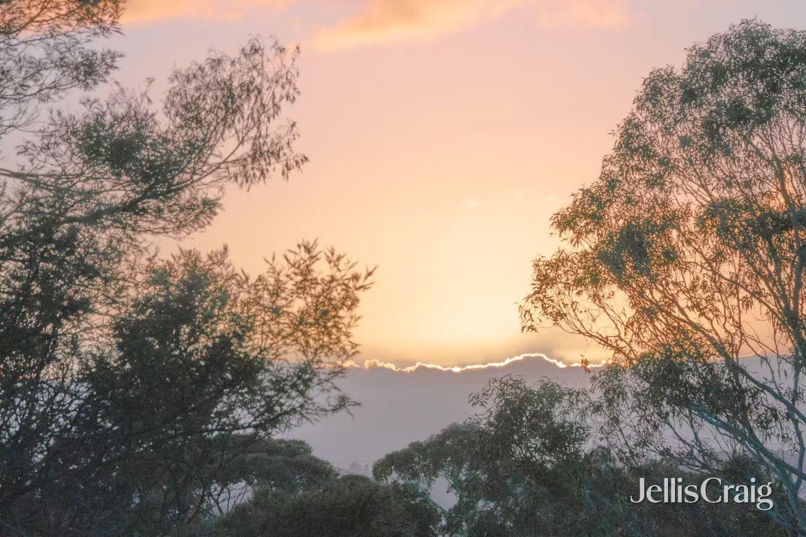 87 Hinkler Road East, Glen&nbsp;Waverley image 33