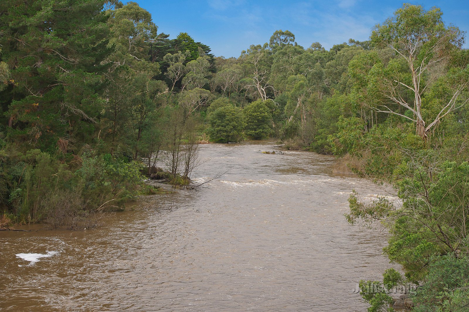 87 Kangaroo Ground-Warrandyte Road, North Warrandyte image 14