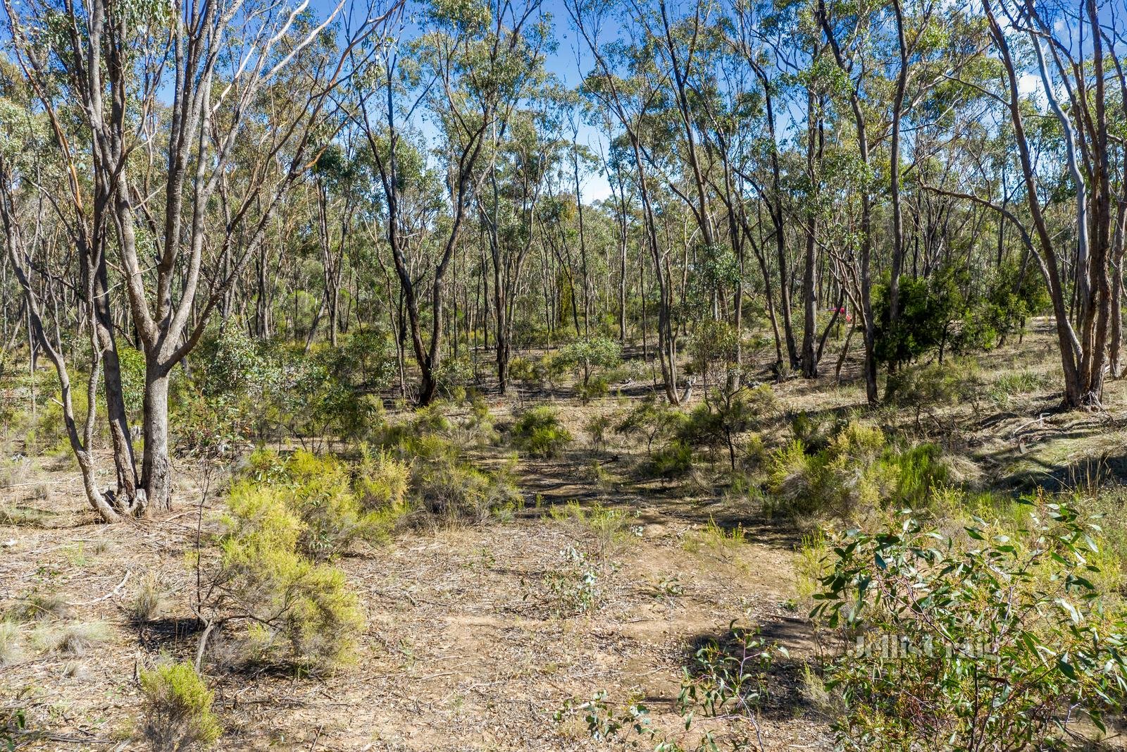 87 Willy Milly Road, Mckenzie Hill image 3