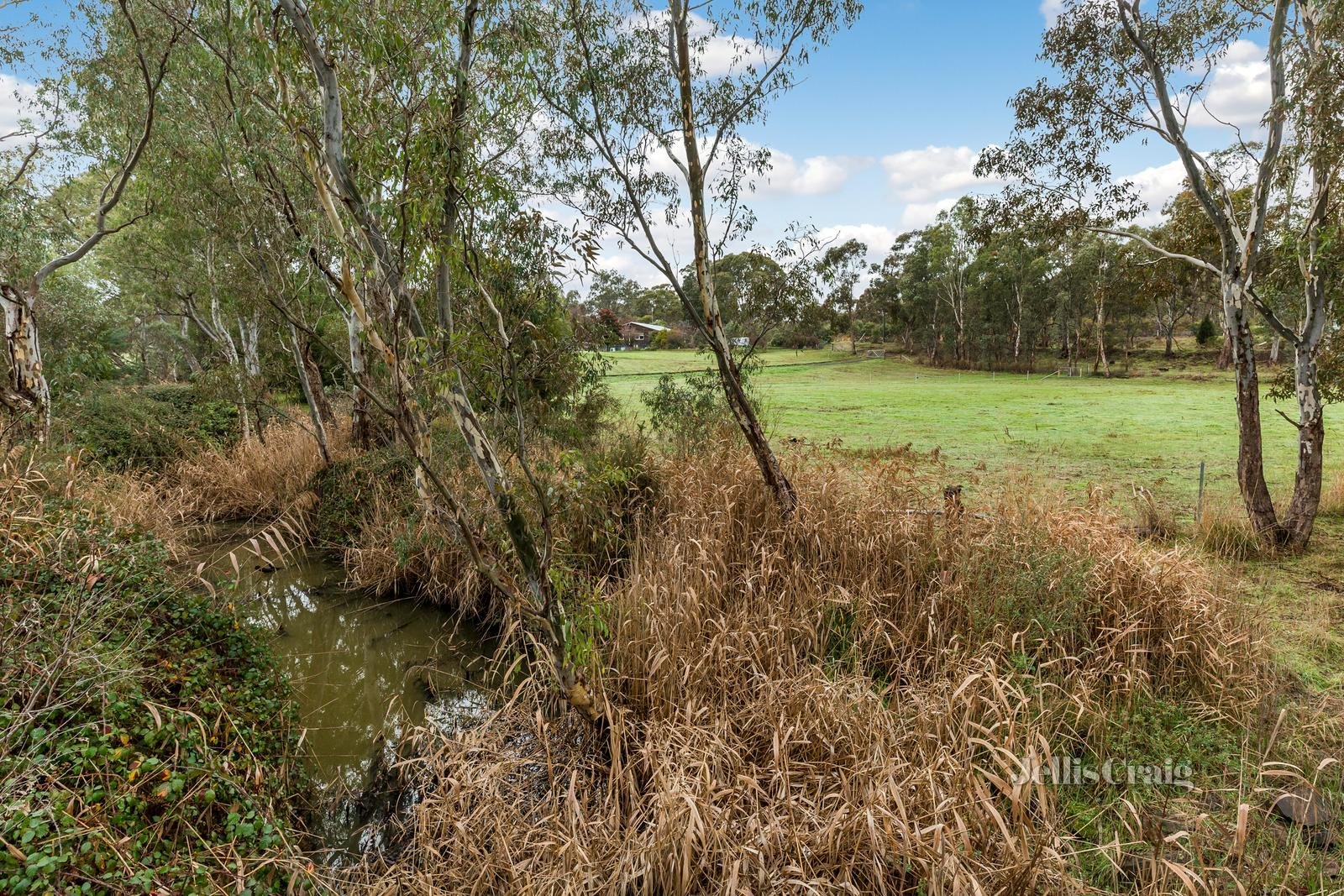 8705 Midland Highway, Barkers Creek image 4