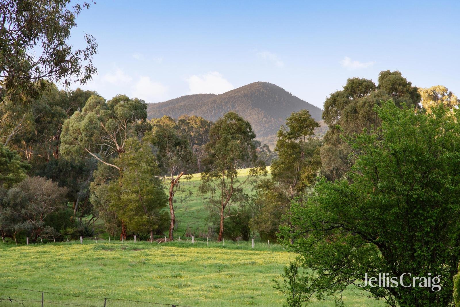 875 Arthurs Creek Road, Arthurs&nbsp;Creek image 21