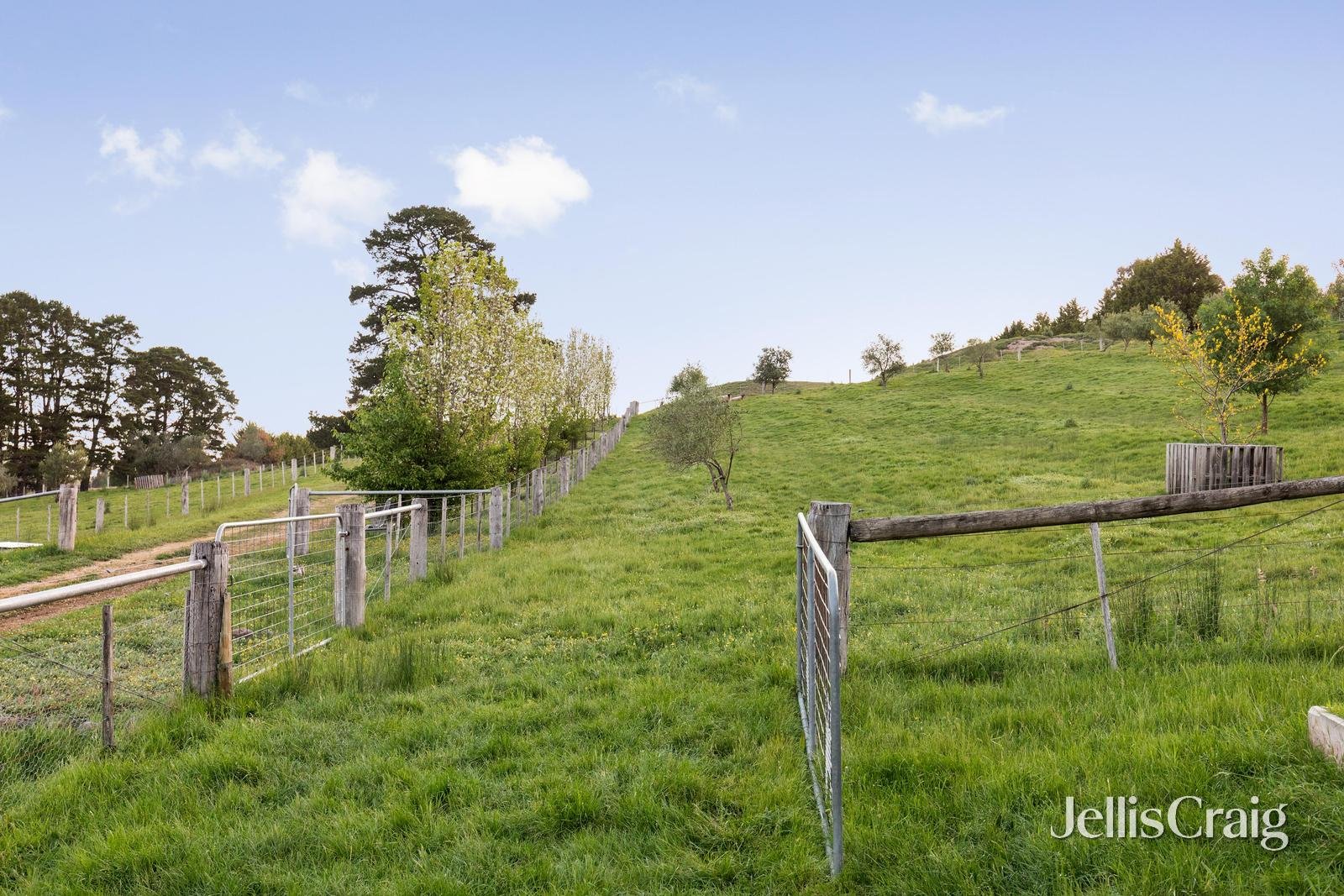 875 Arthurs Creek Road, Arthurs&nbsp;Creek image 23
