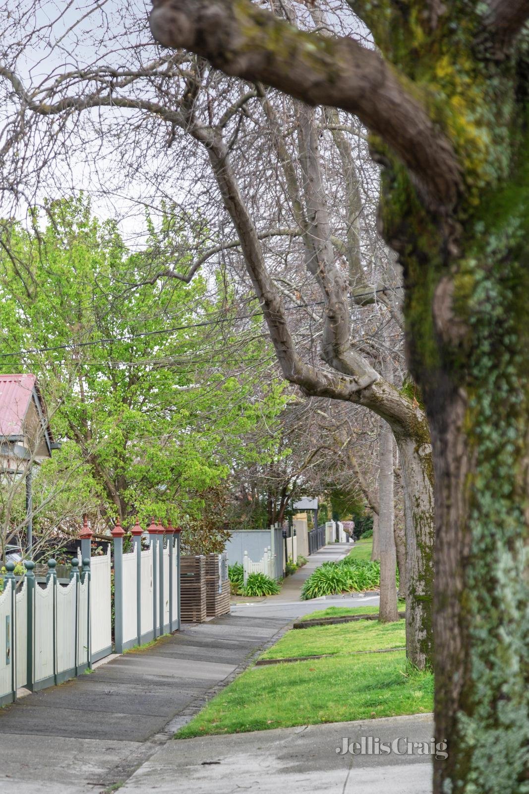 8/78 Croydon Road, Surrey Hills image 9