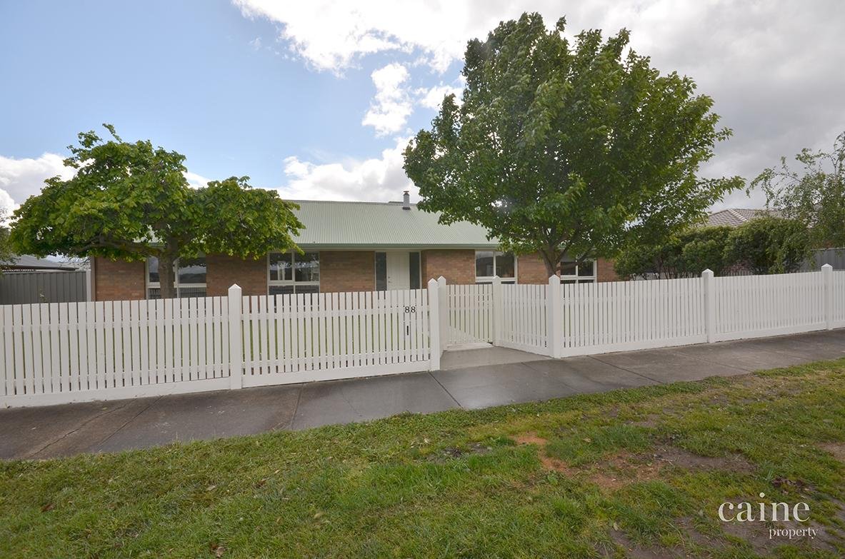 88 Kossuth Street, Sebastopol image 10