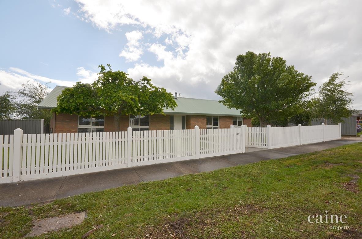 88 Kossuth Street, Sebastopol image 11