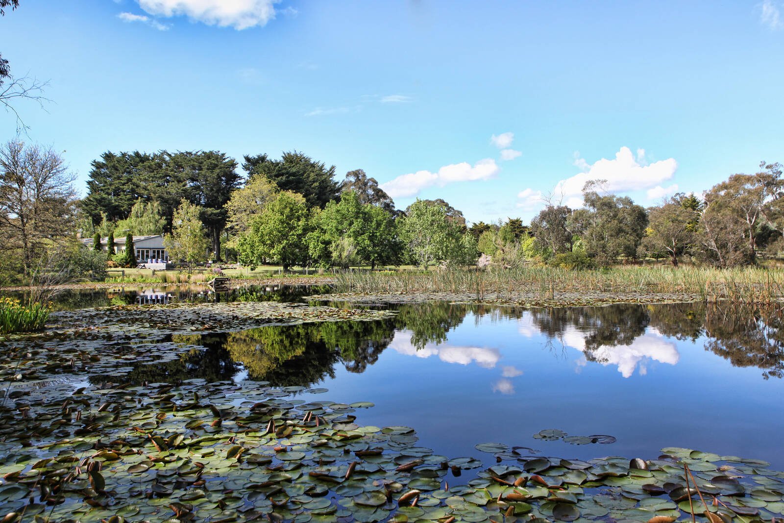 Property Gallery Thumbnail 2