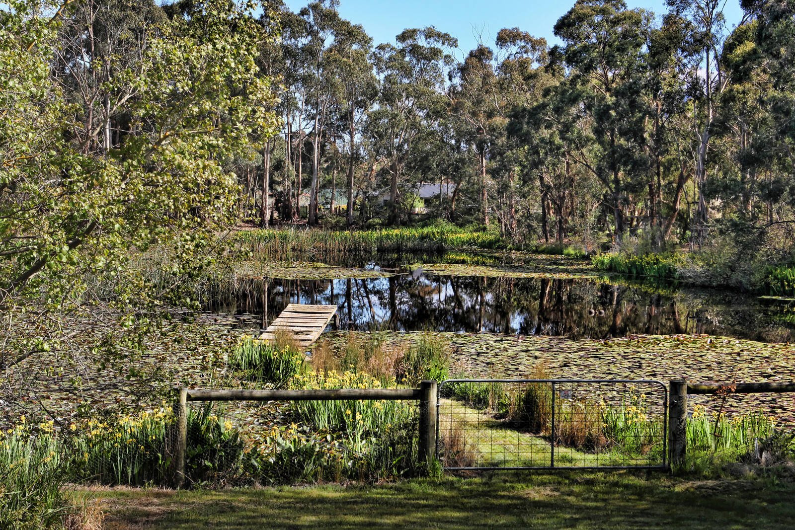Property Gallery Thumbnail 27
