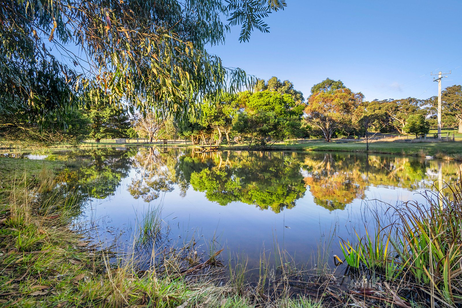 89 Hendersons Road, Smythes Creek image 12